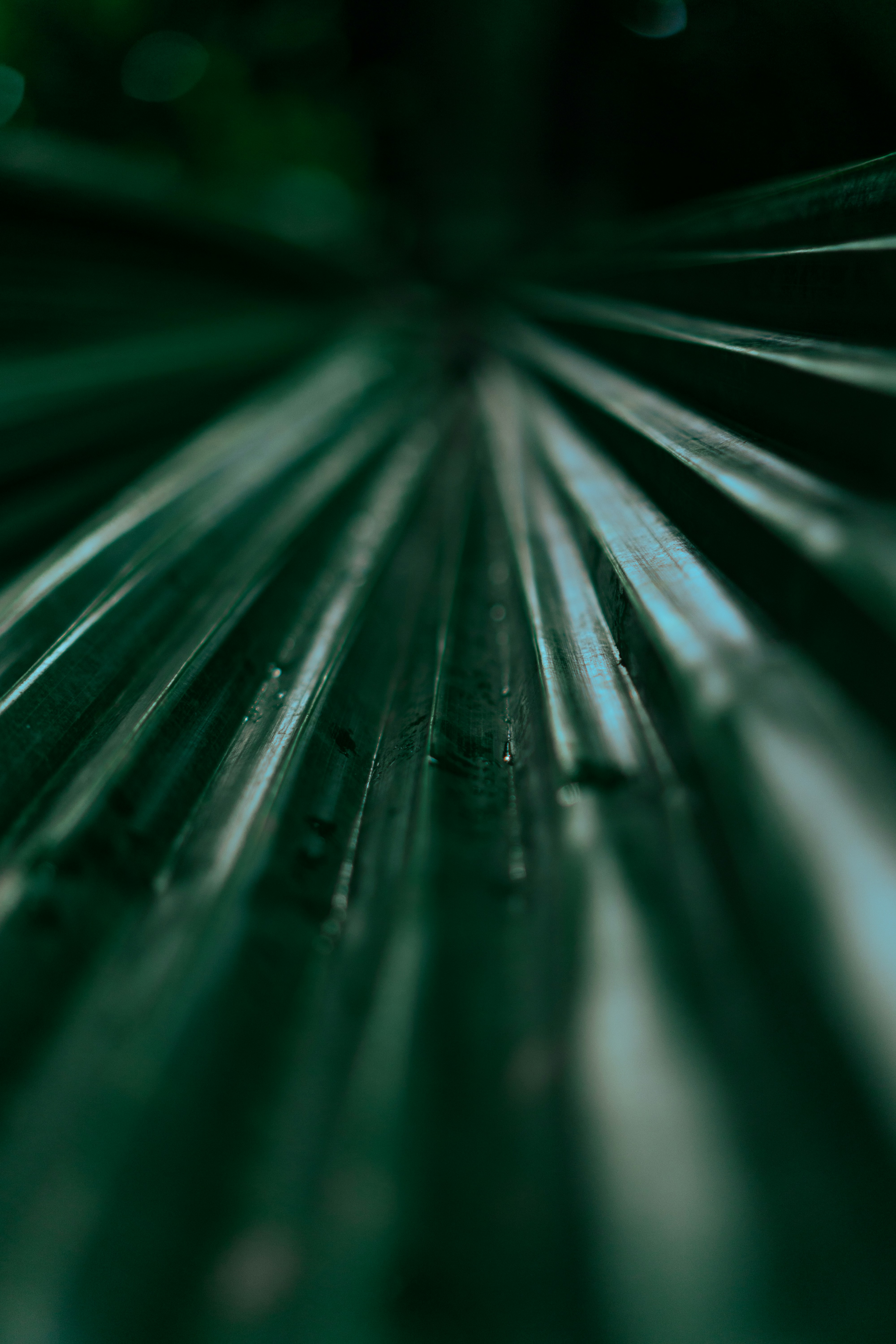 Photo by melatonical