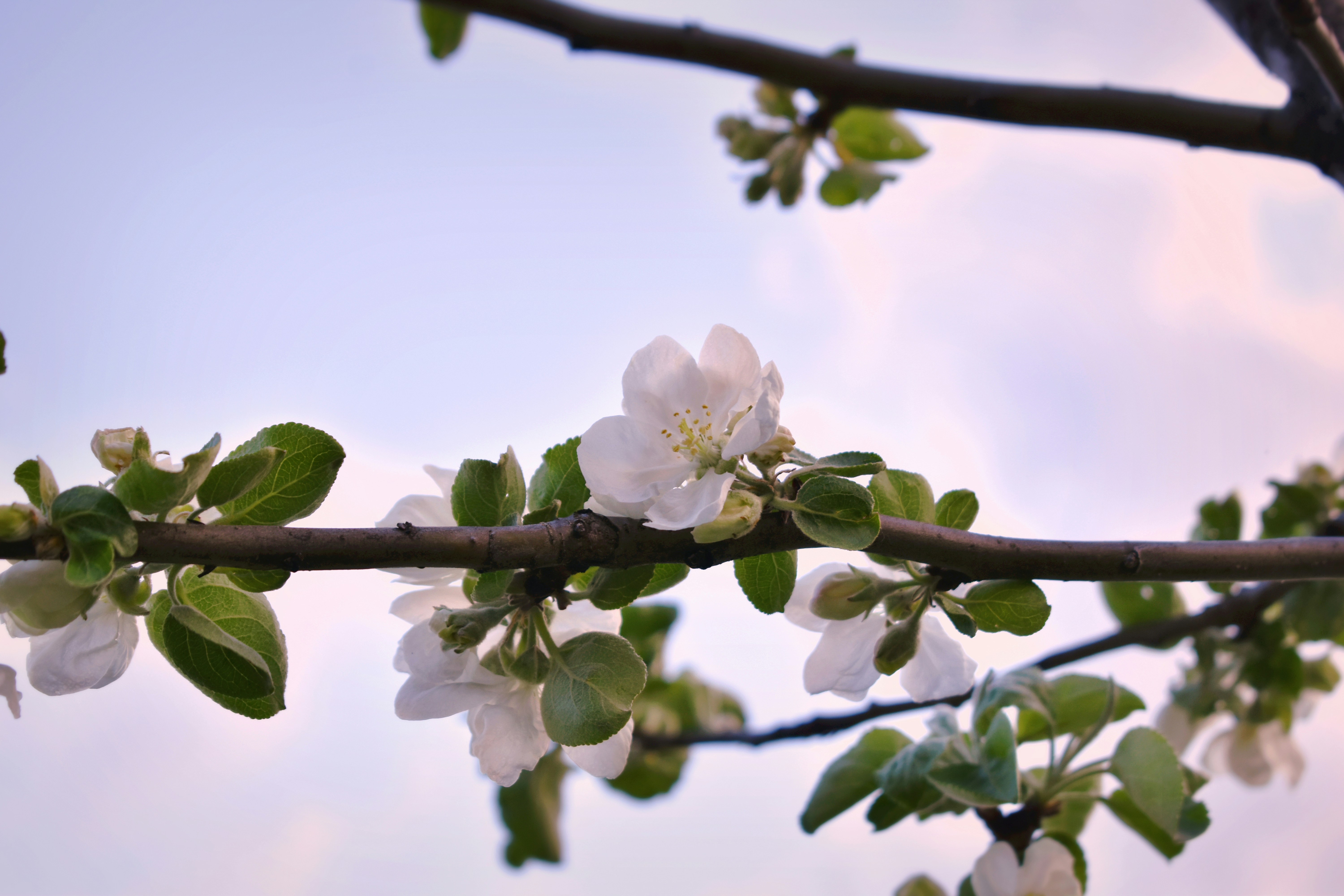 Photo by polina_grishma