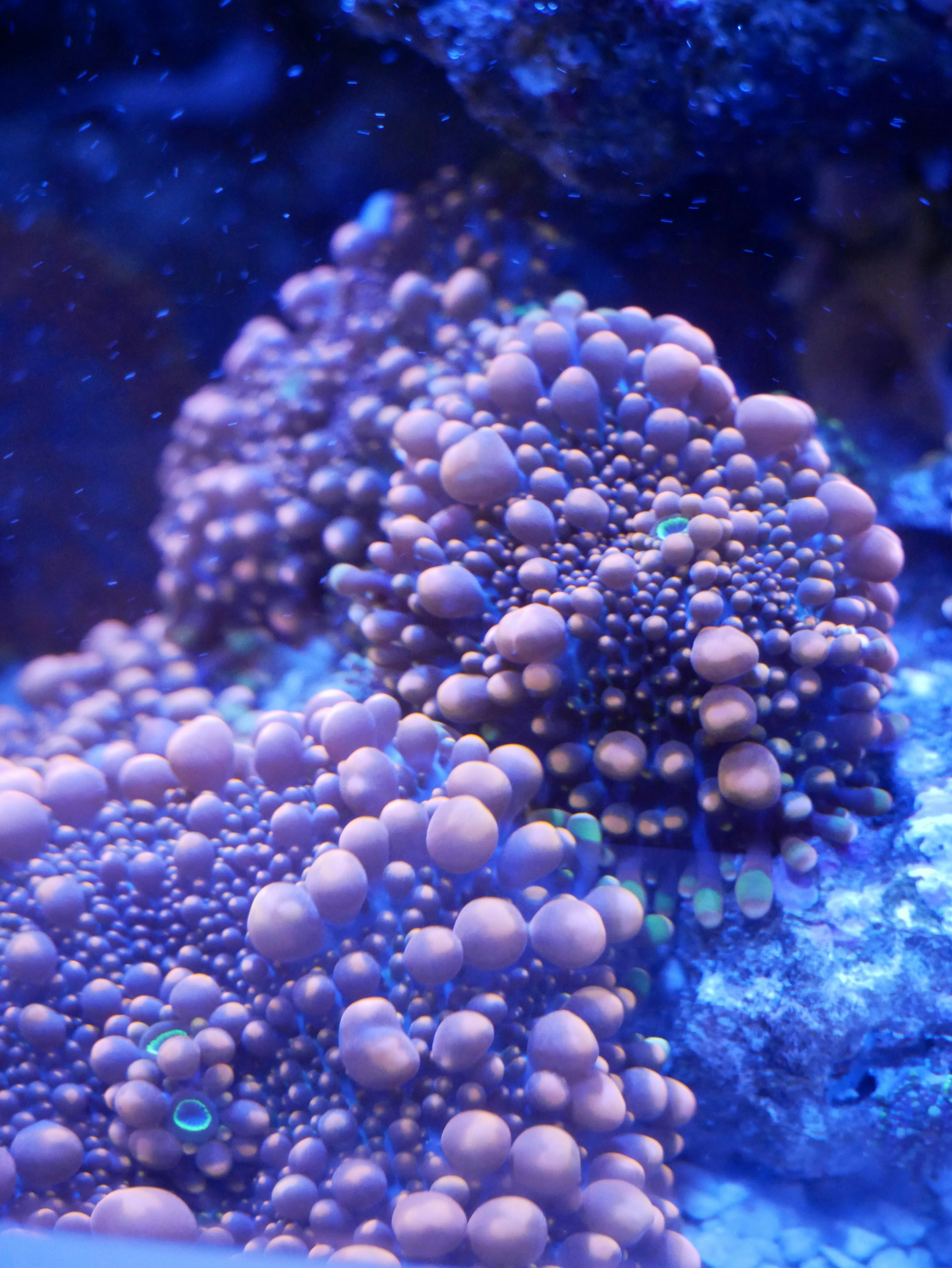 Photo by johanse_photos