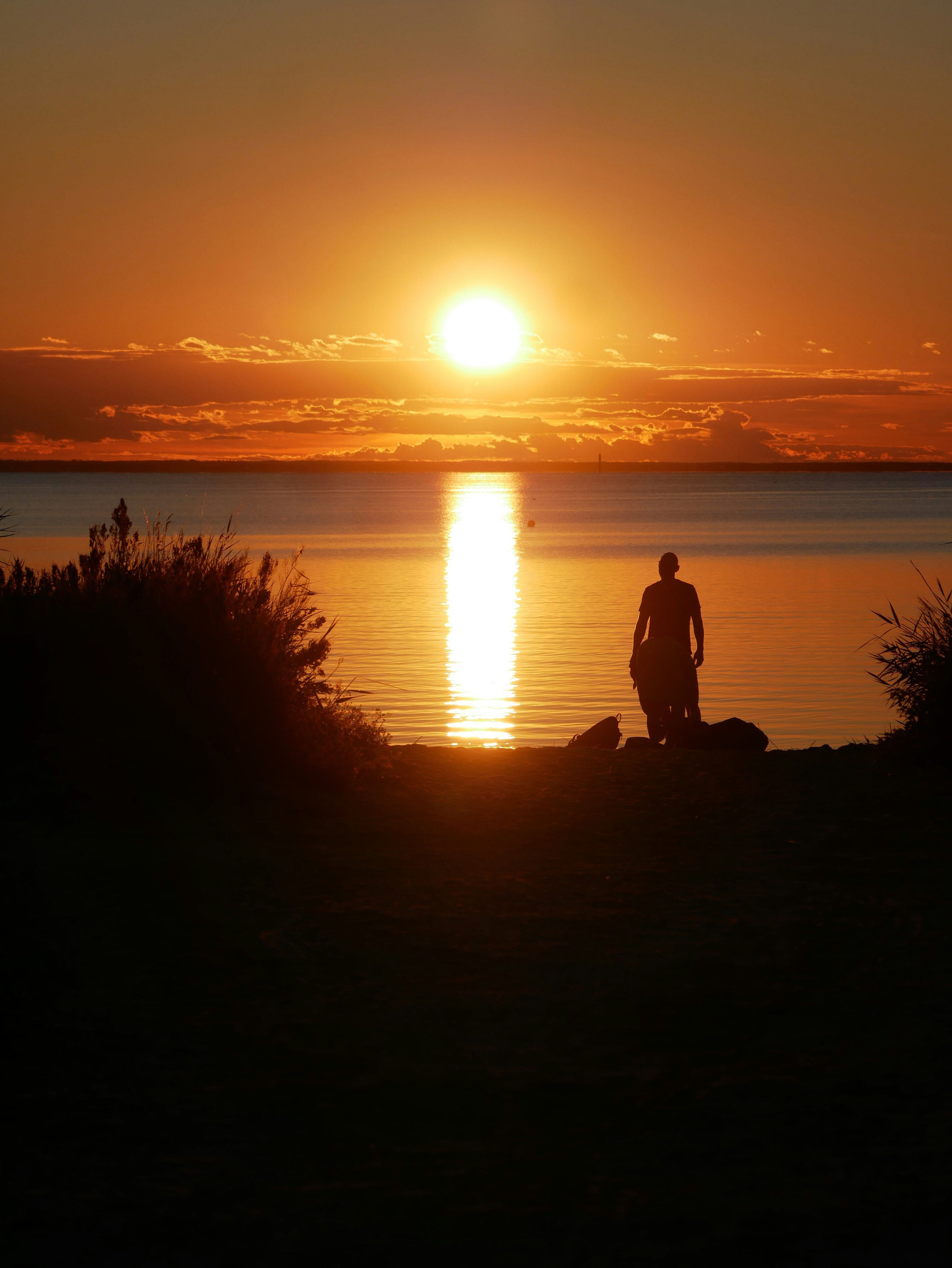 Photo by johanse_photos