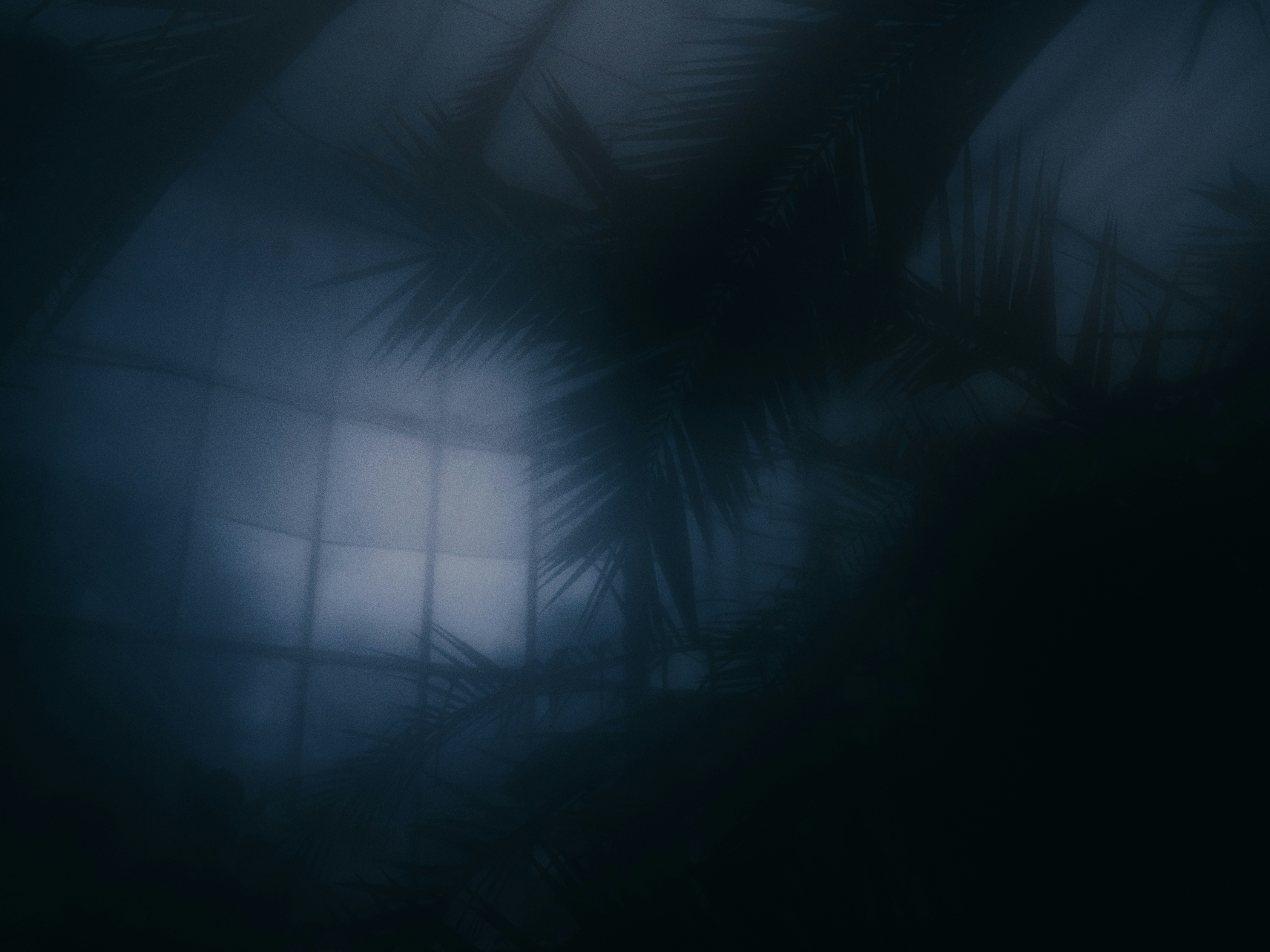 Photo by mineral_of_demon