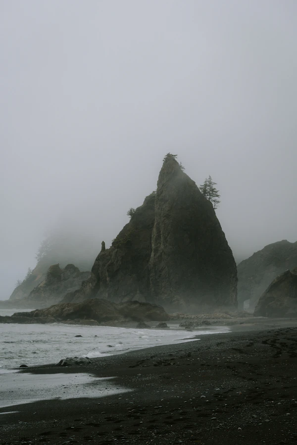 Coastal fog