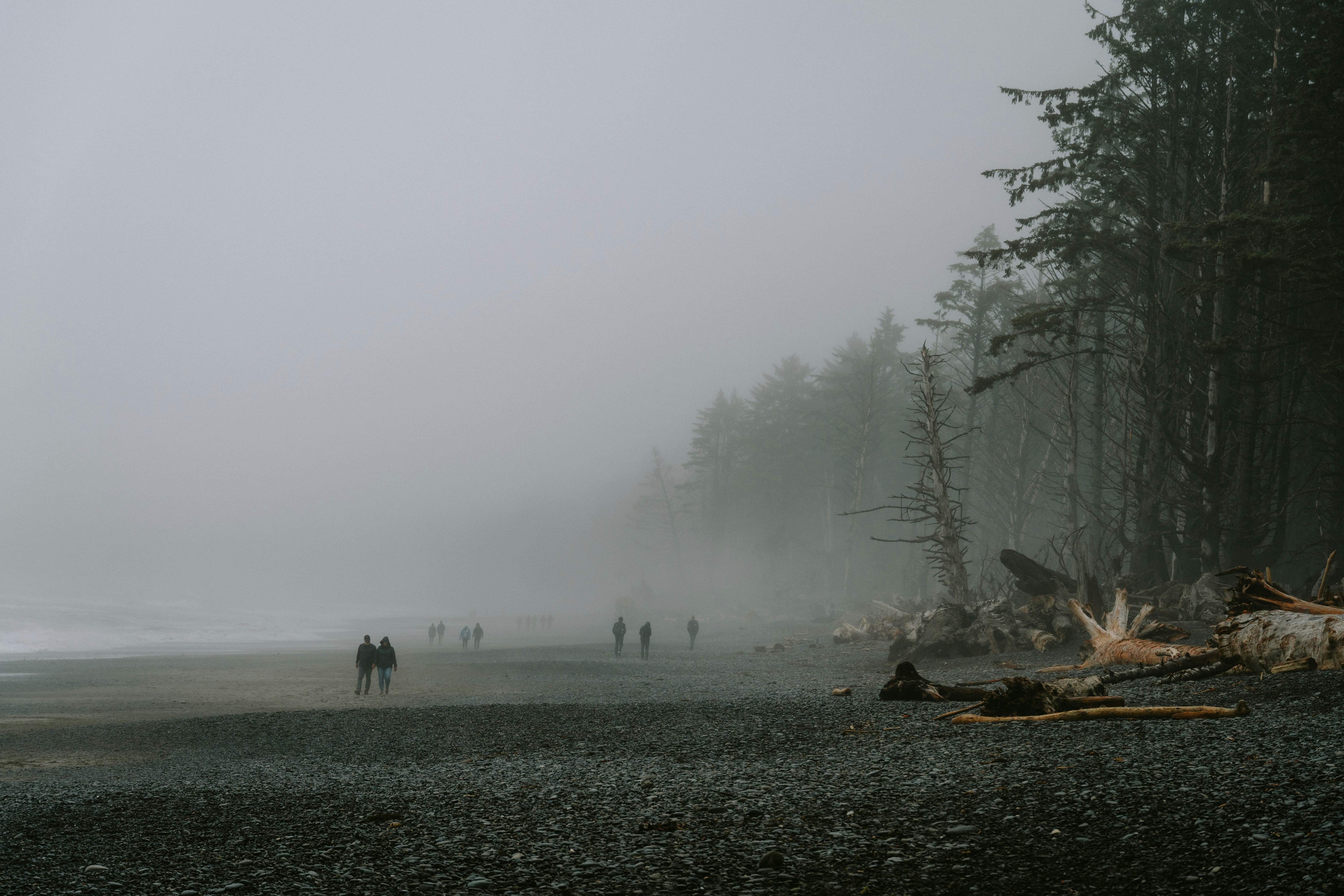 Photo by jaspergribble