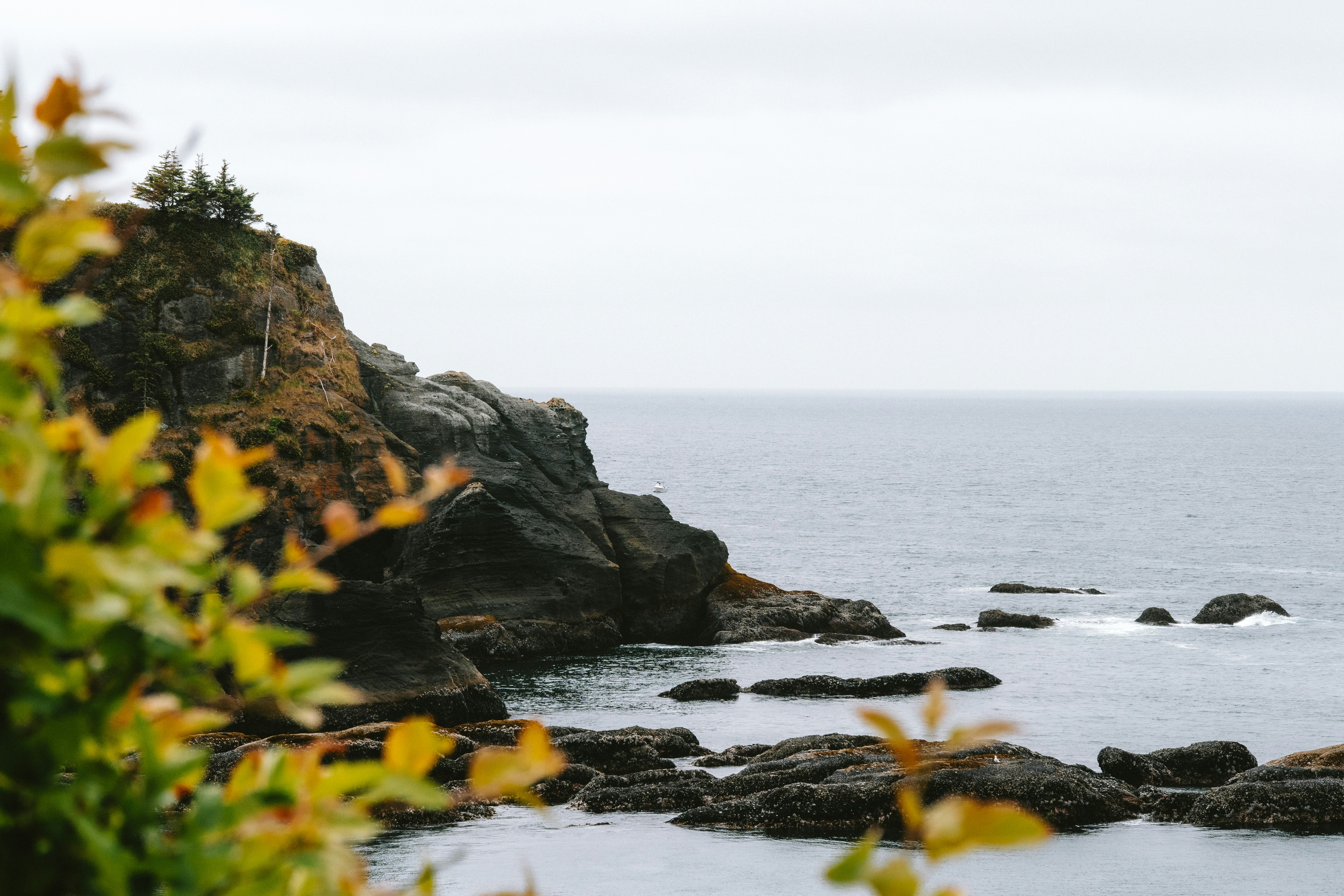 Photo by jaspergribble