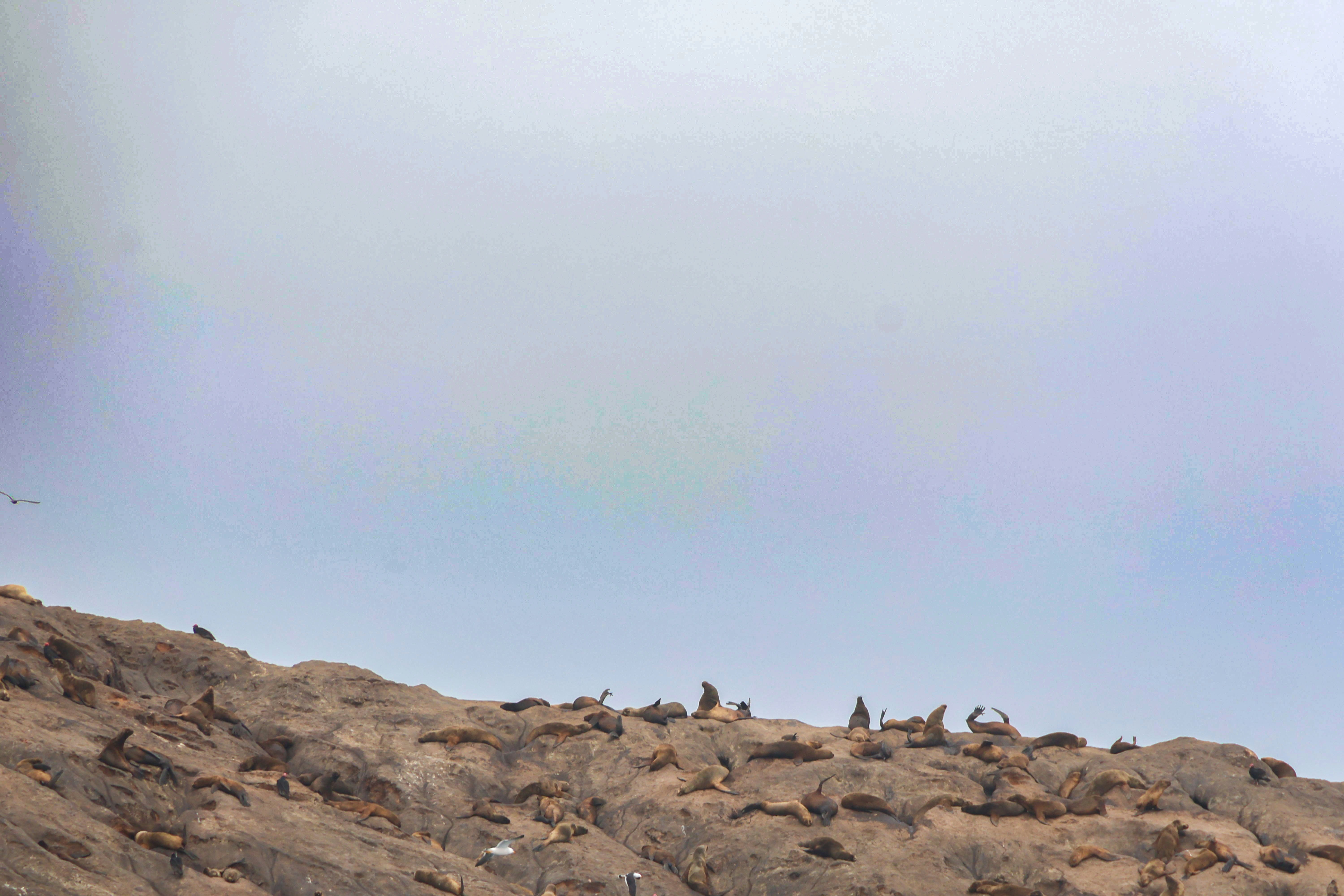 Photo by traveleroohlala