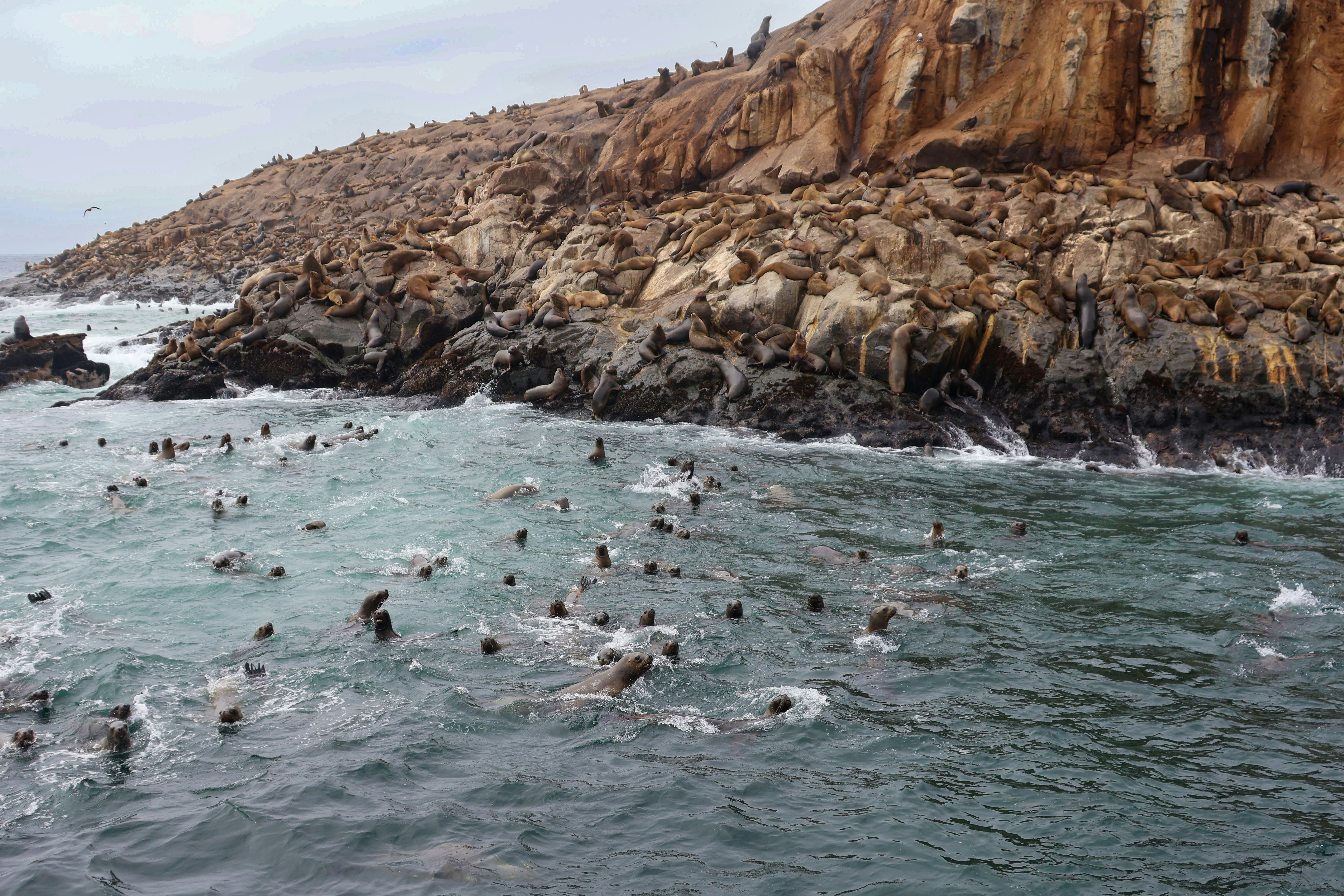 Photo by traveleroohlala