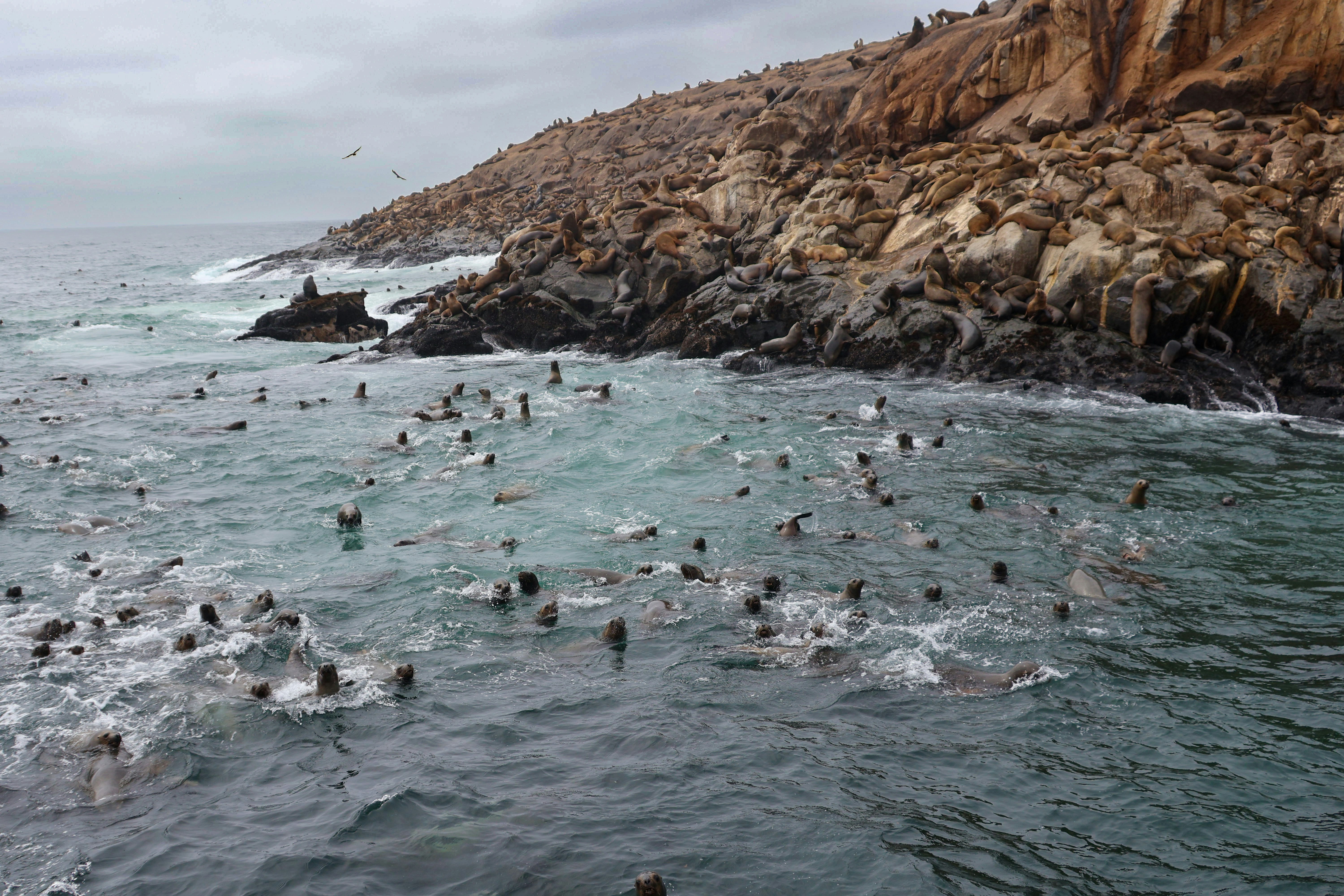 Photo by traveleroohlala