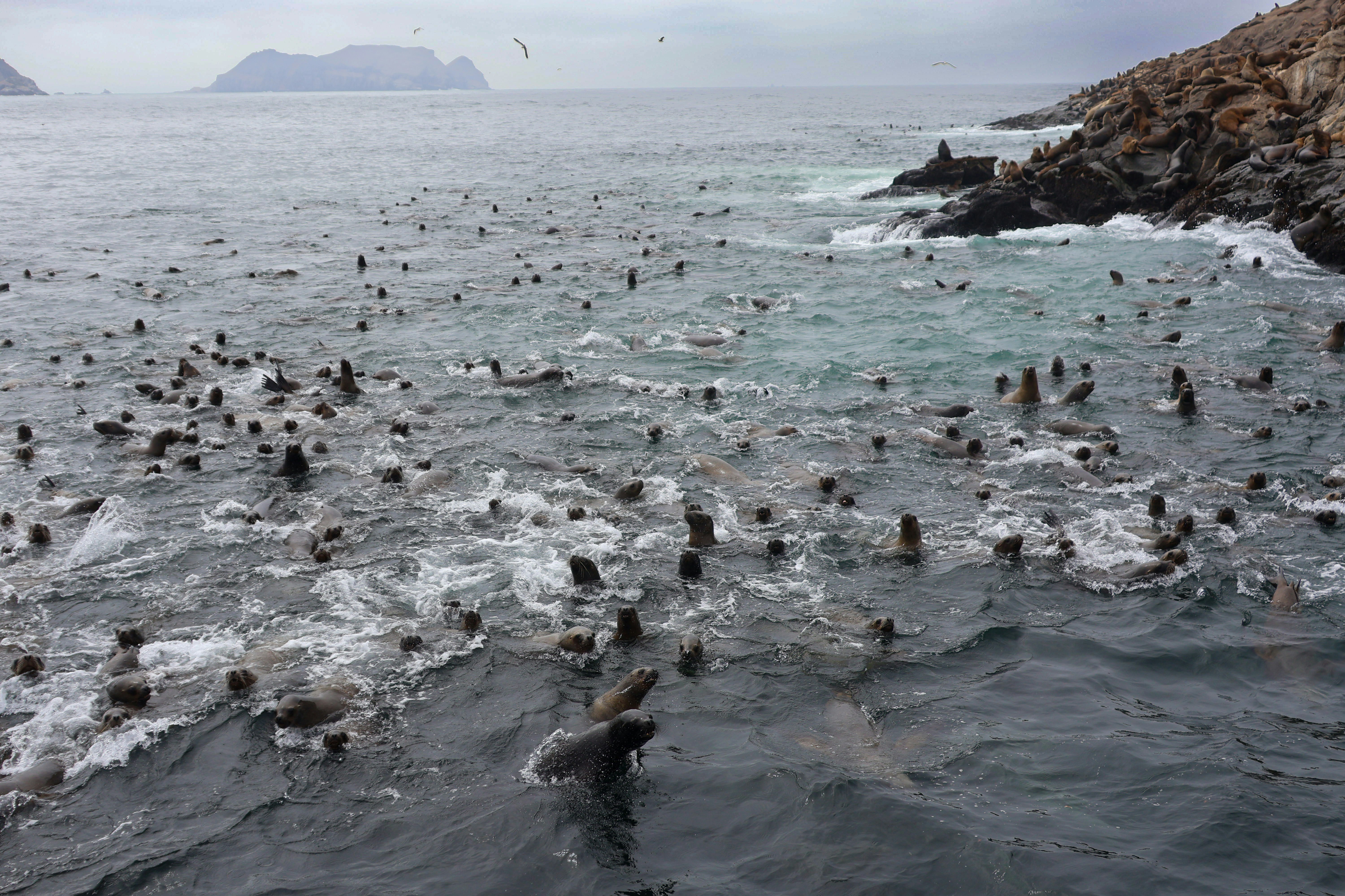 Photo by traveleroohlala