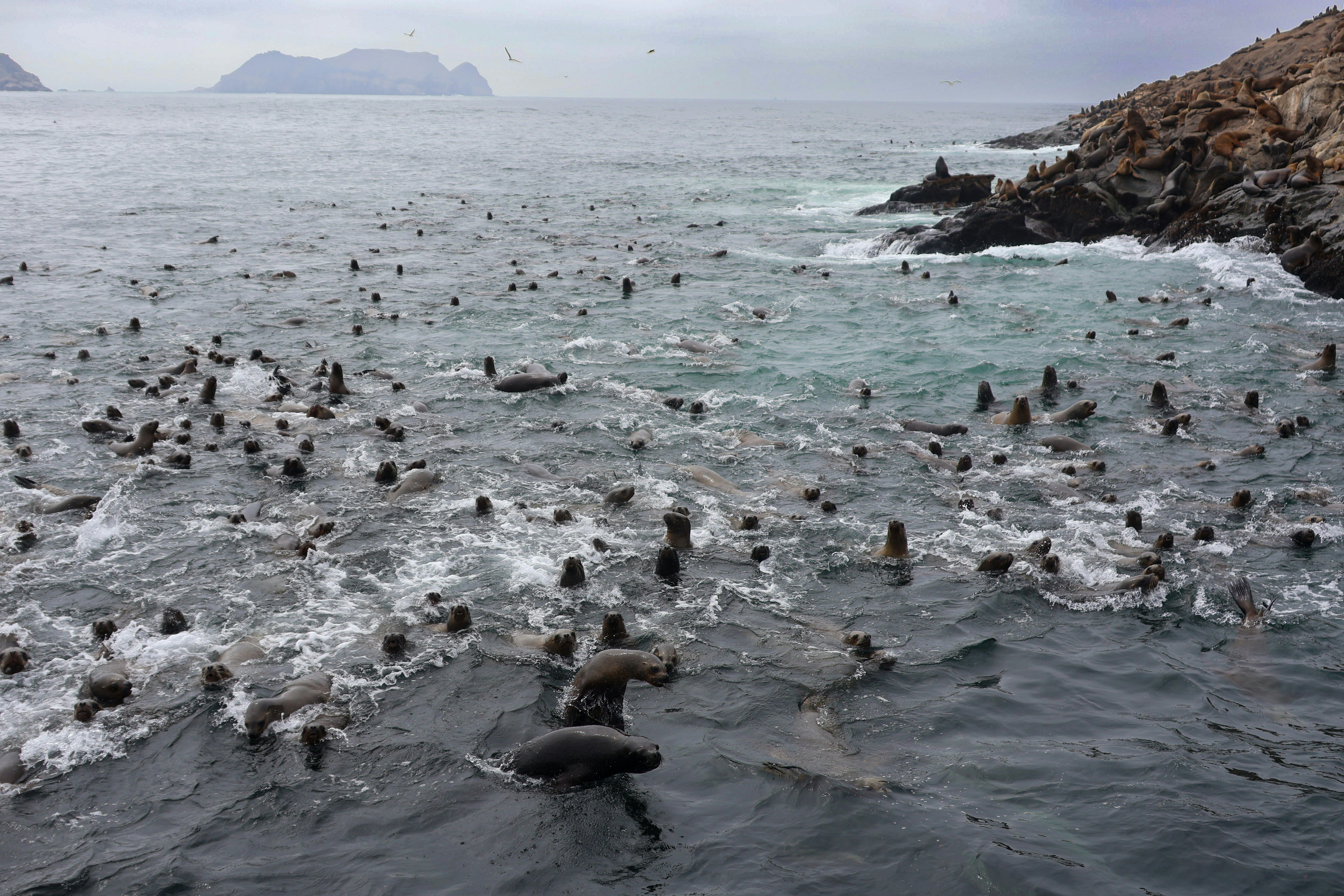 Photo by traveleroohlala