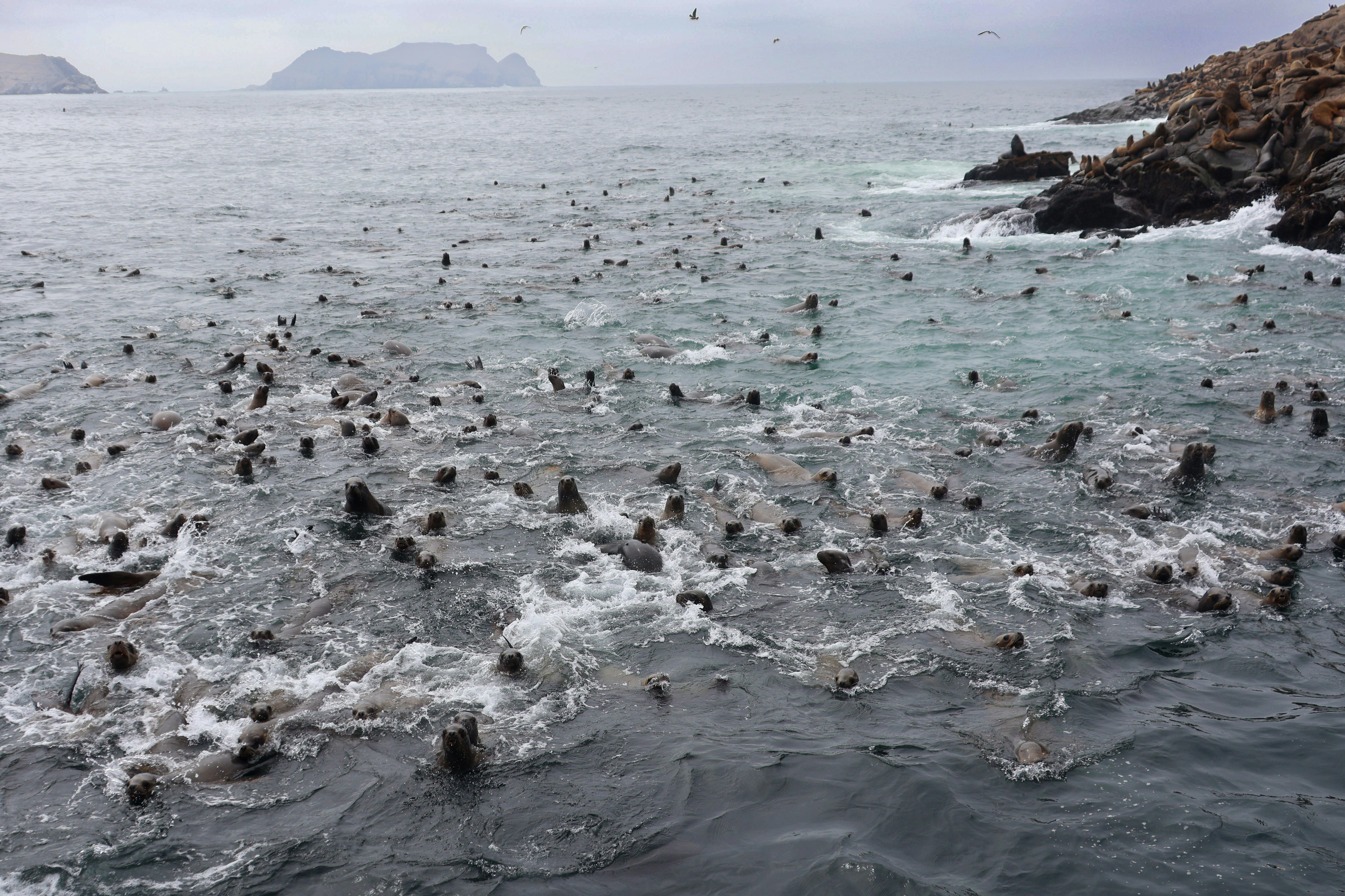 Photo by traveleroohlala