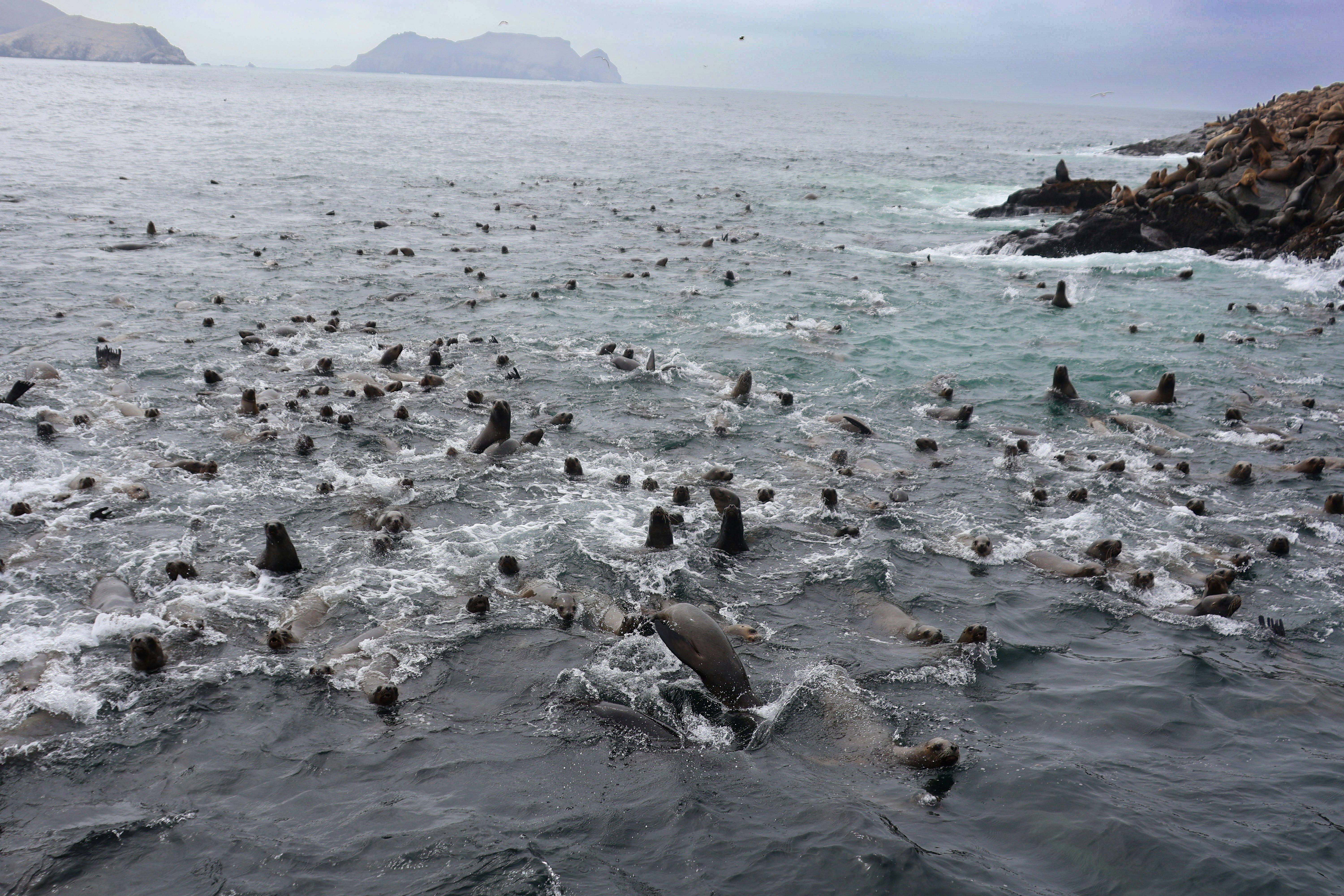 Photo by traveleroohlala