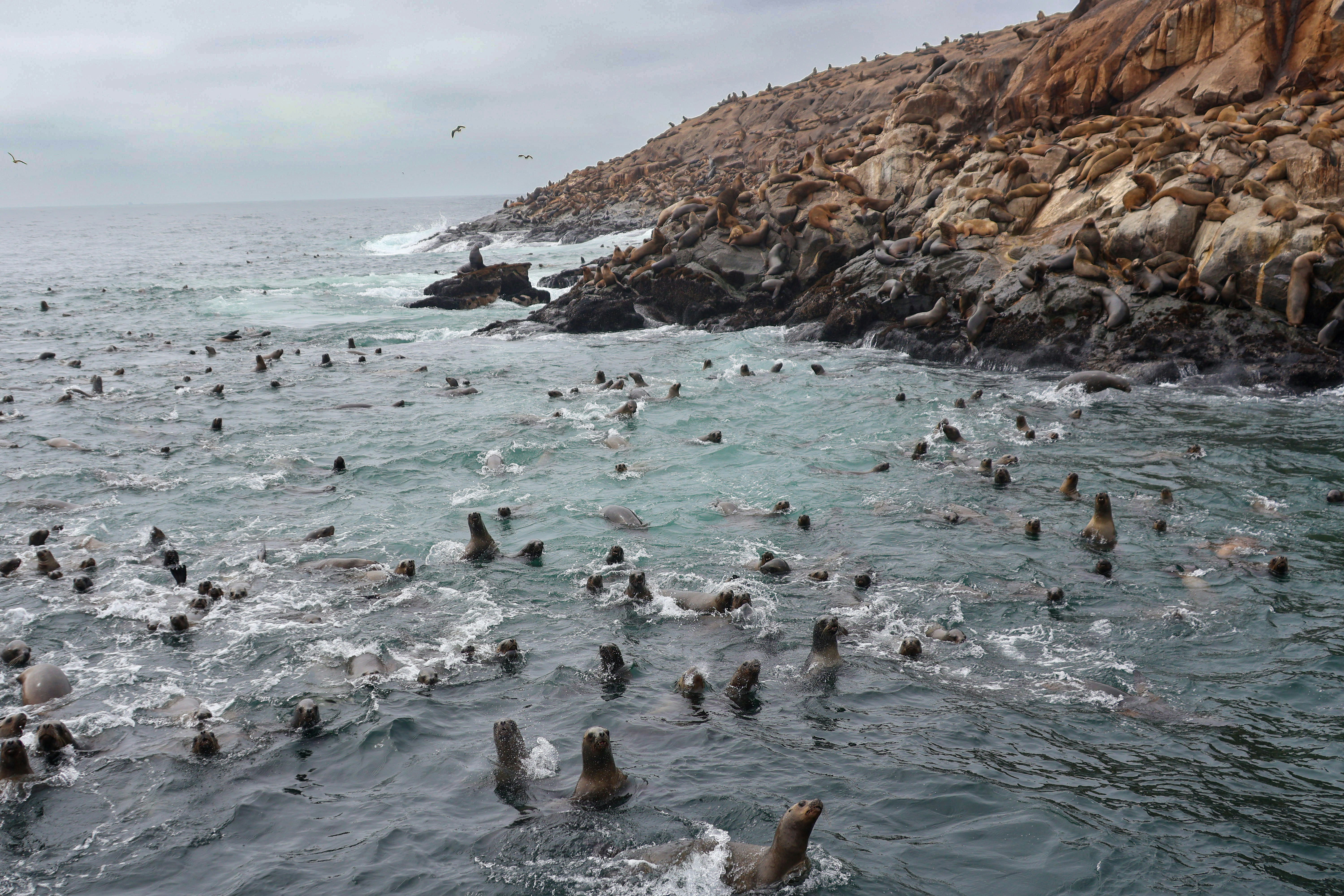 Photo by traveleroohlala