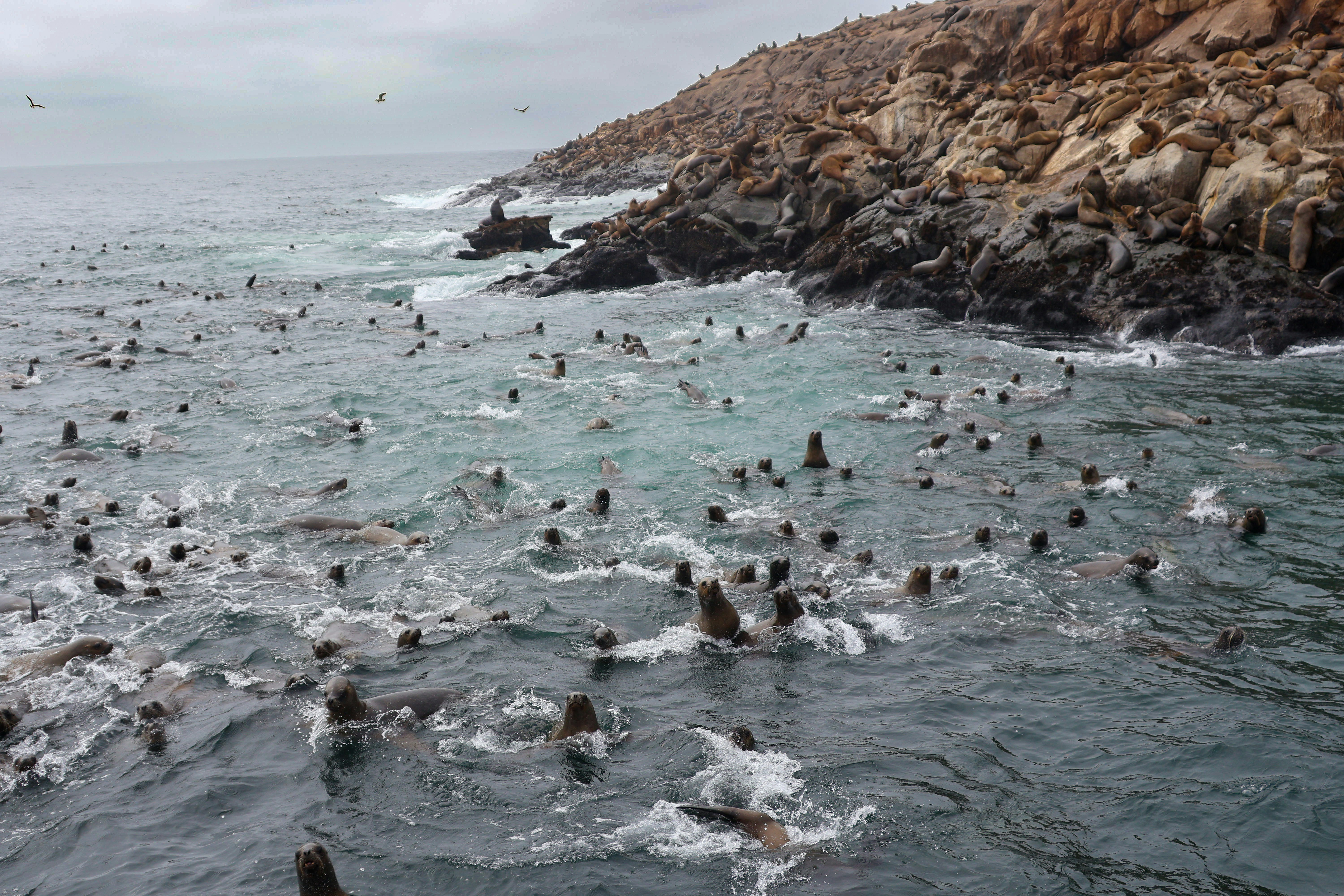 Photo by traveleroohlala