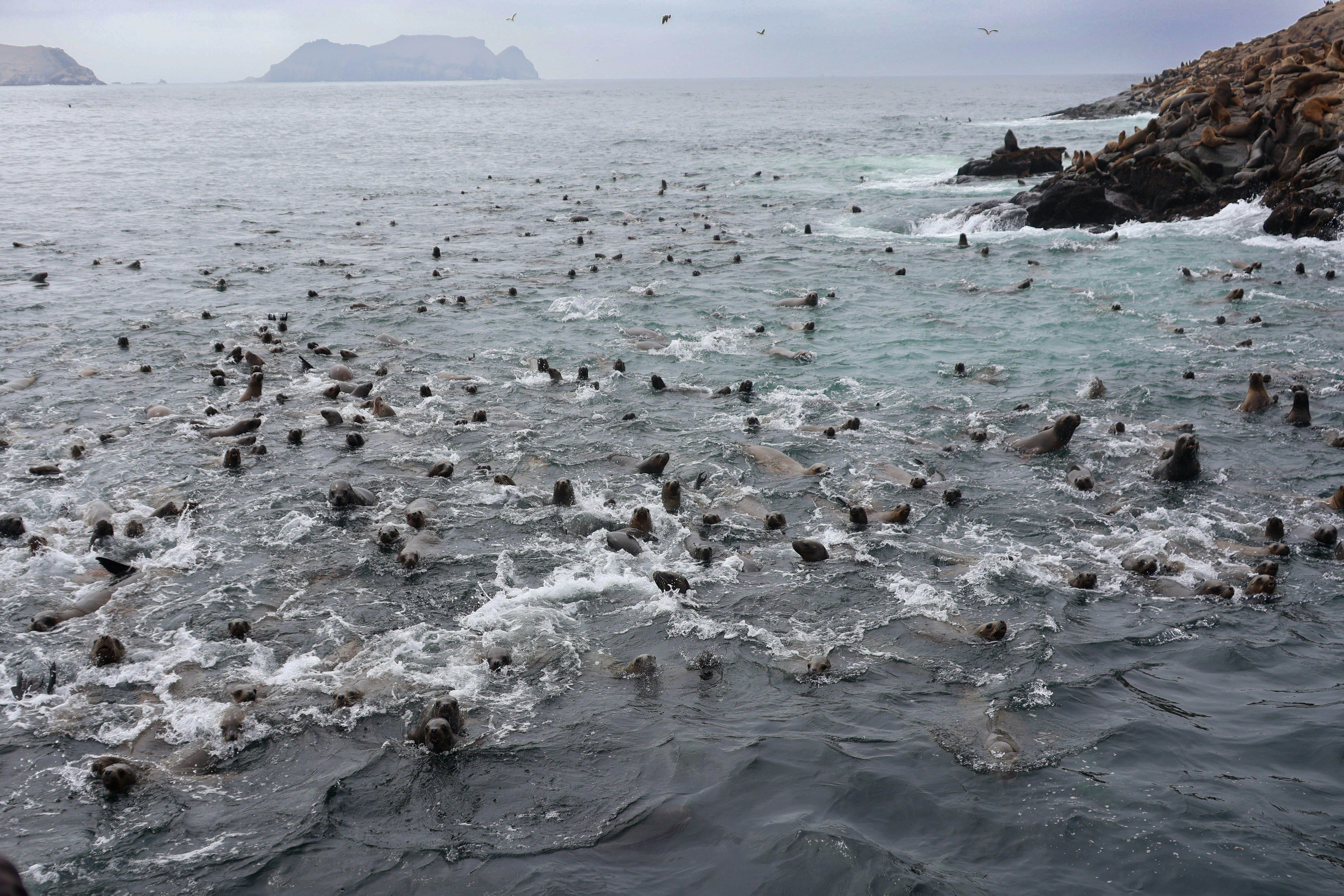 Photo by traveleroohlala