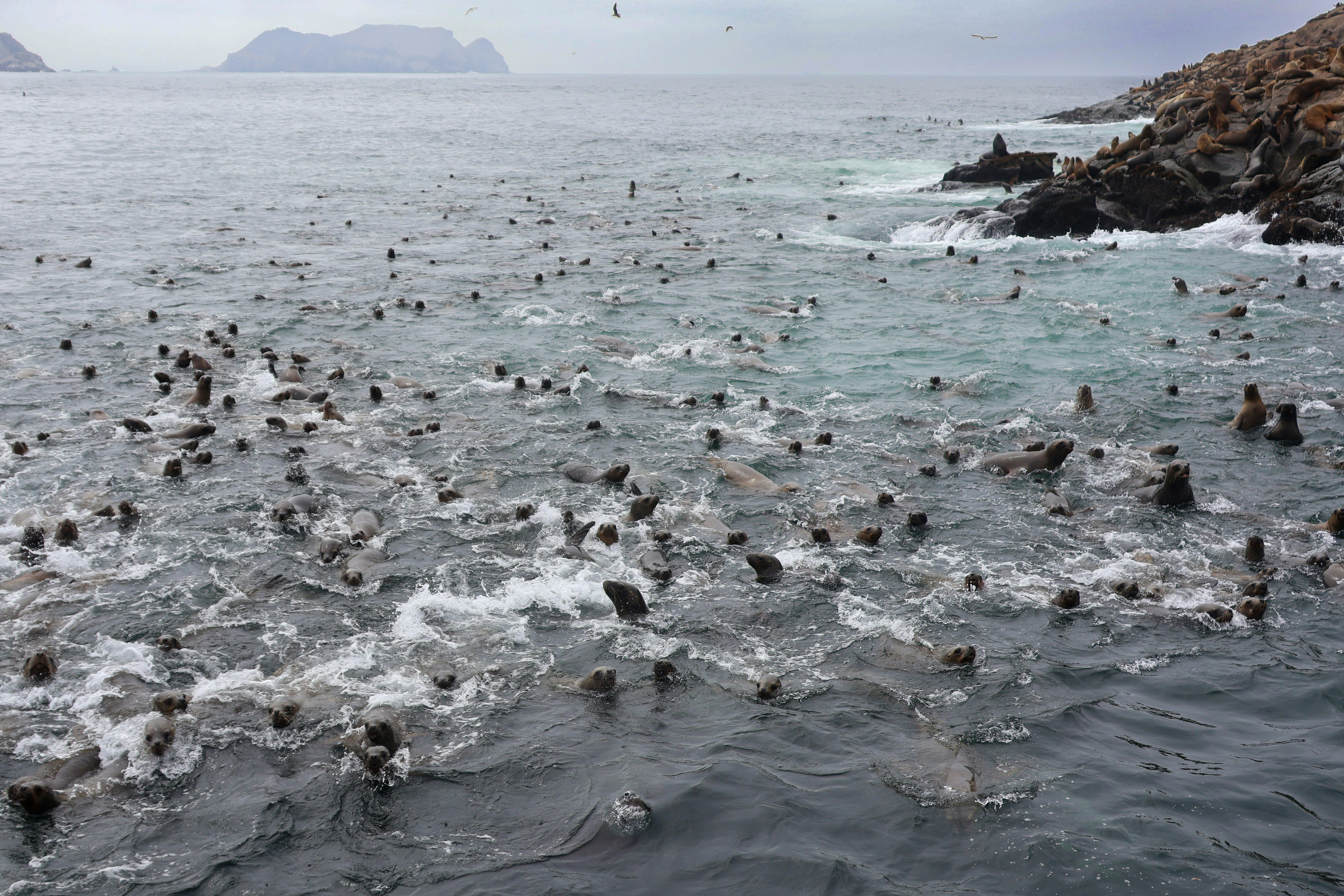 Photo by traveleroohlala