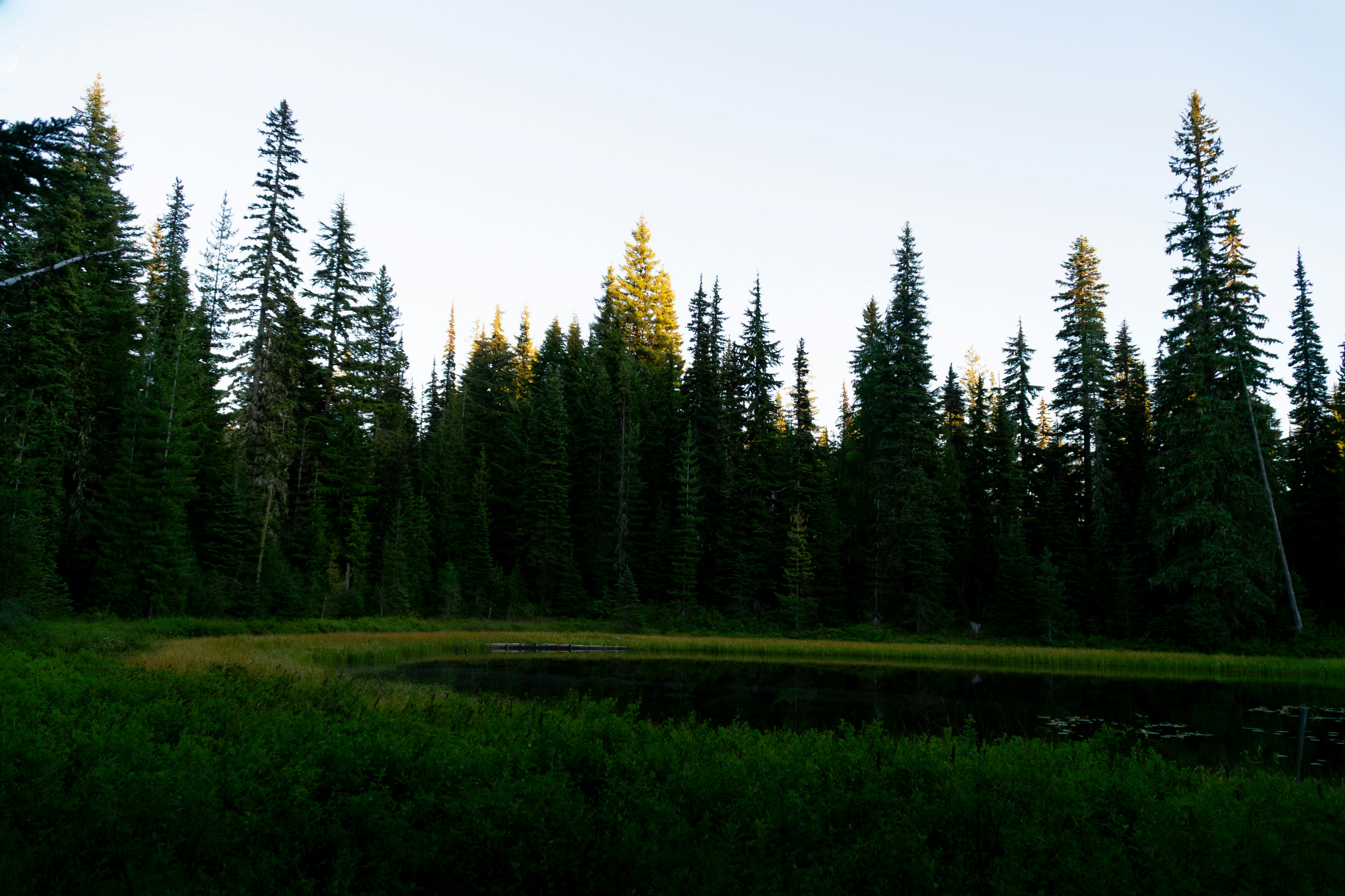 Photo by jamessestric