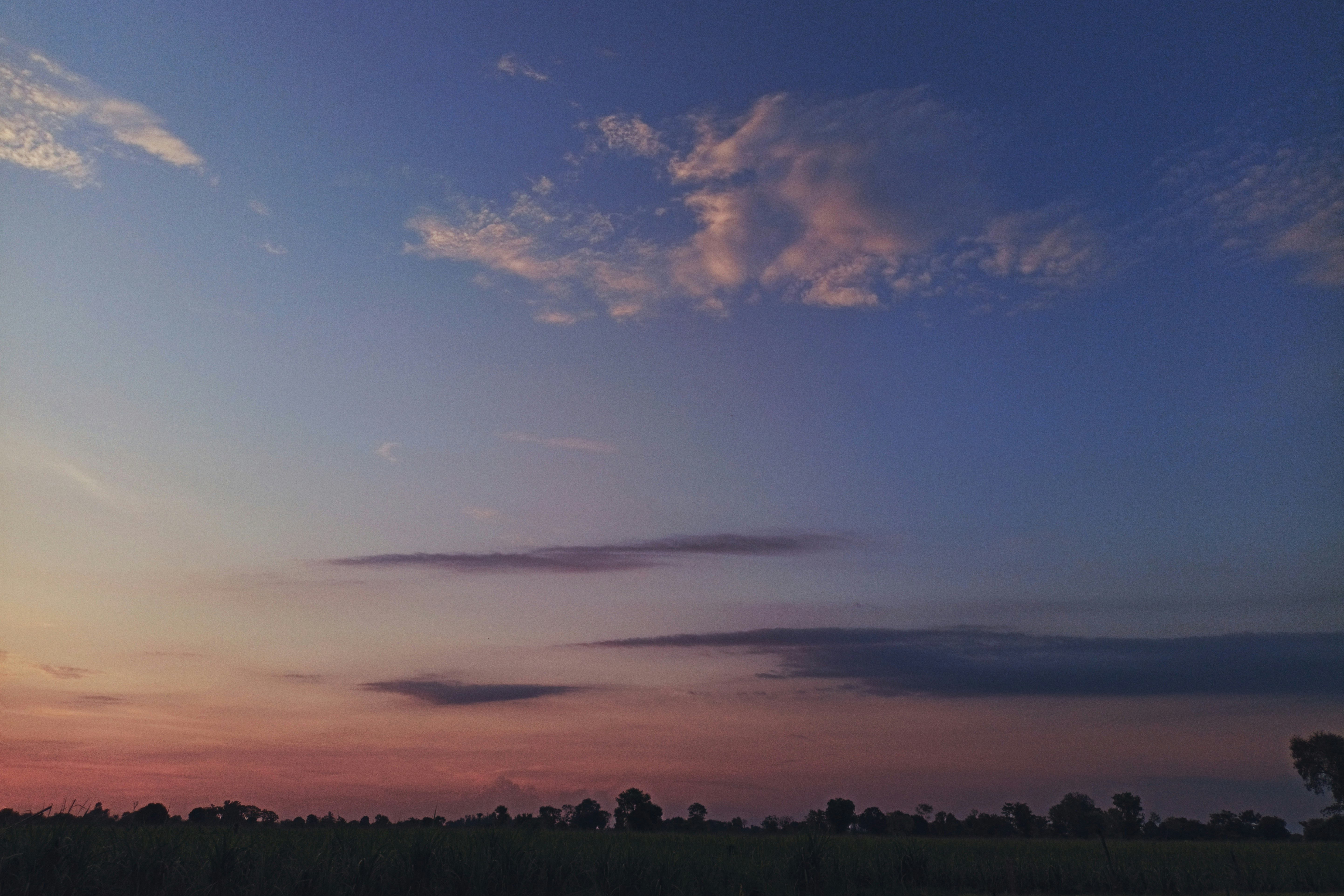 Photo by boywidlens_