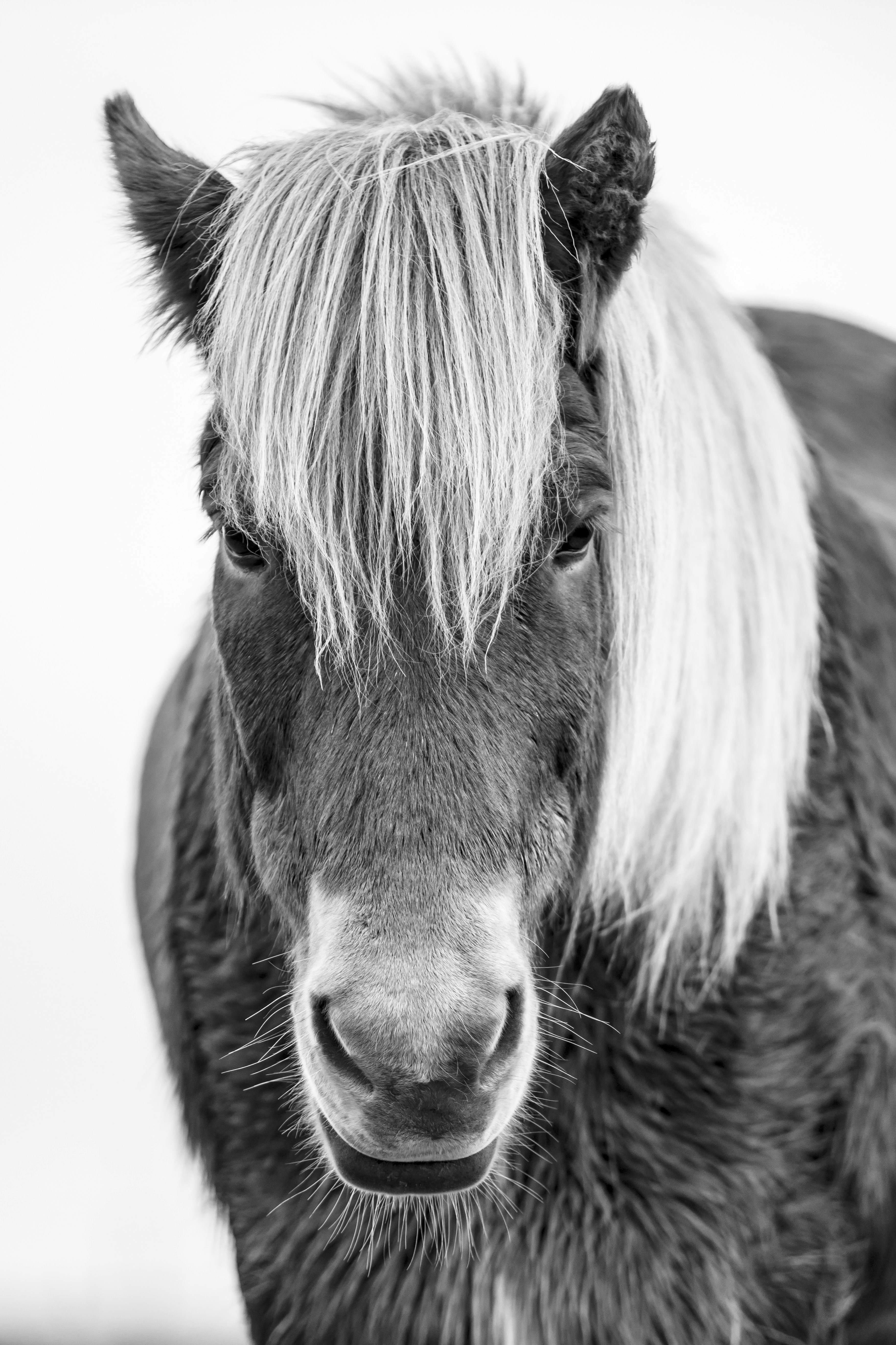 Photo by leo_visions_