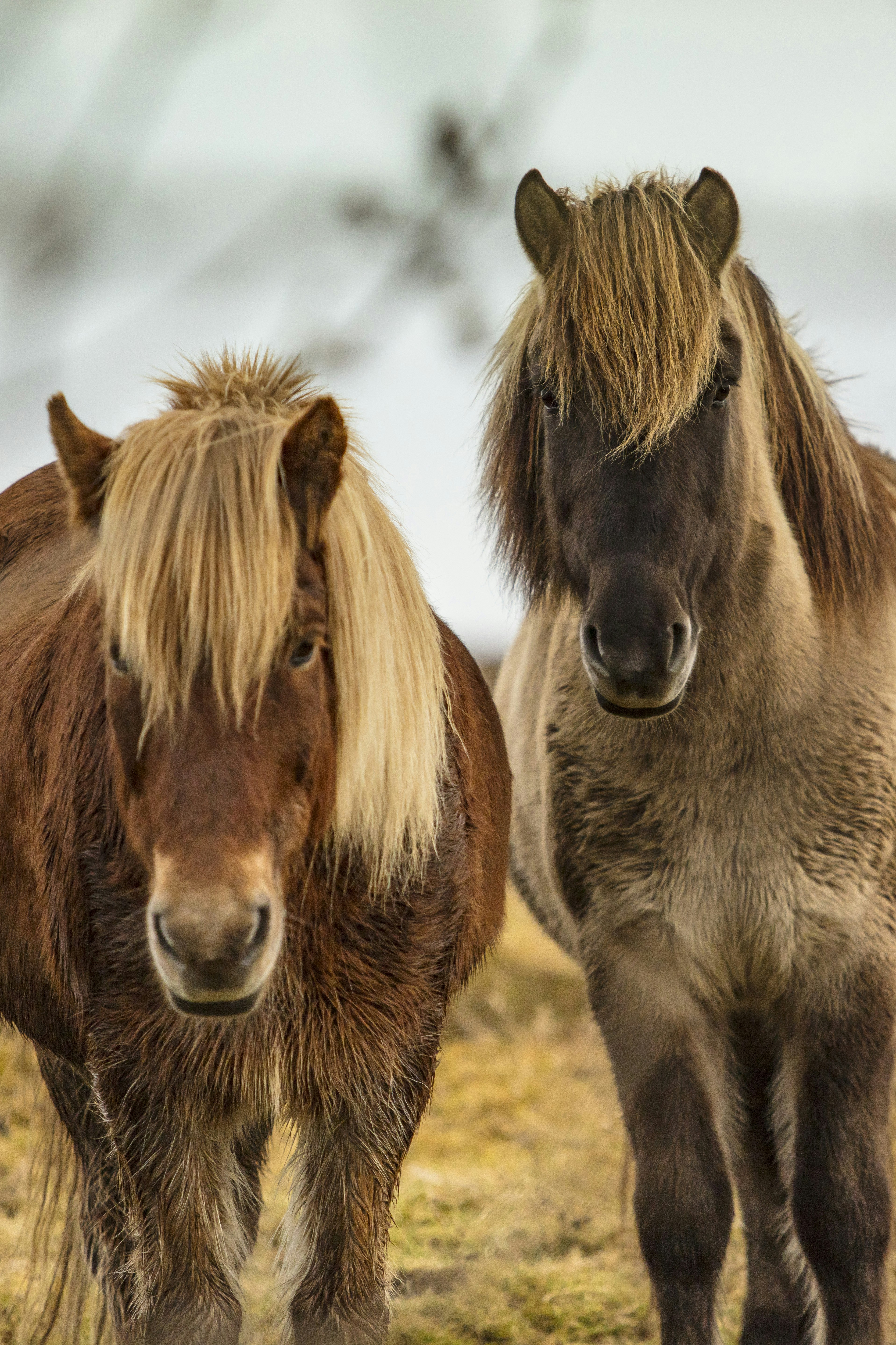 Photo by leo_visions_