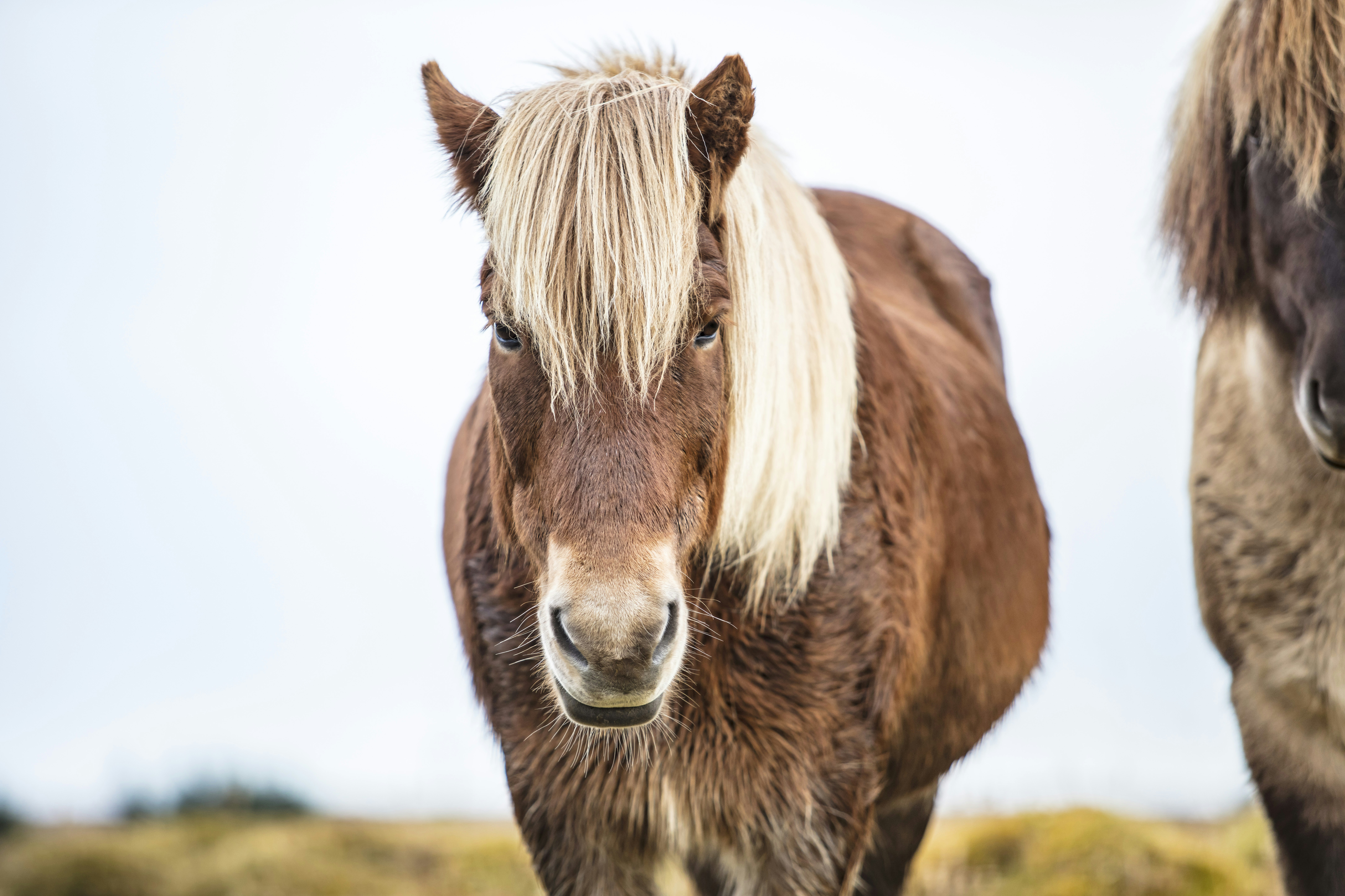 Photo by leo_visions_