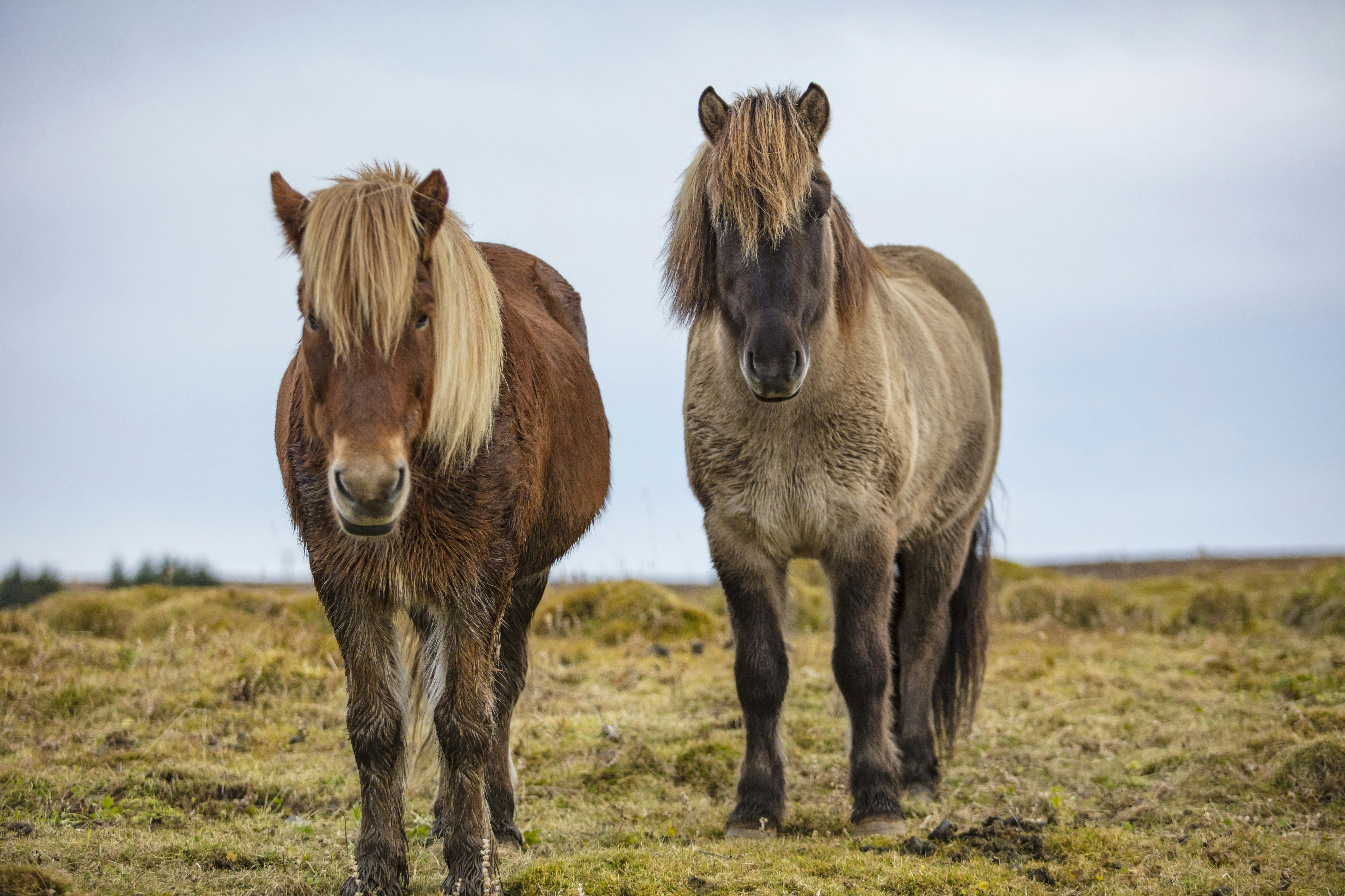 Photo by leo_visions_