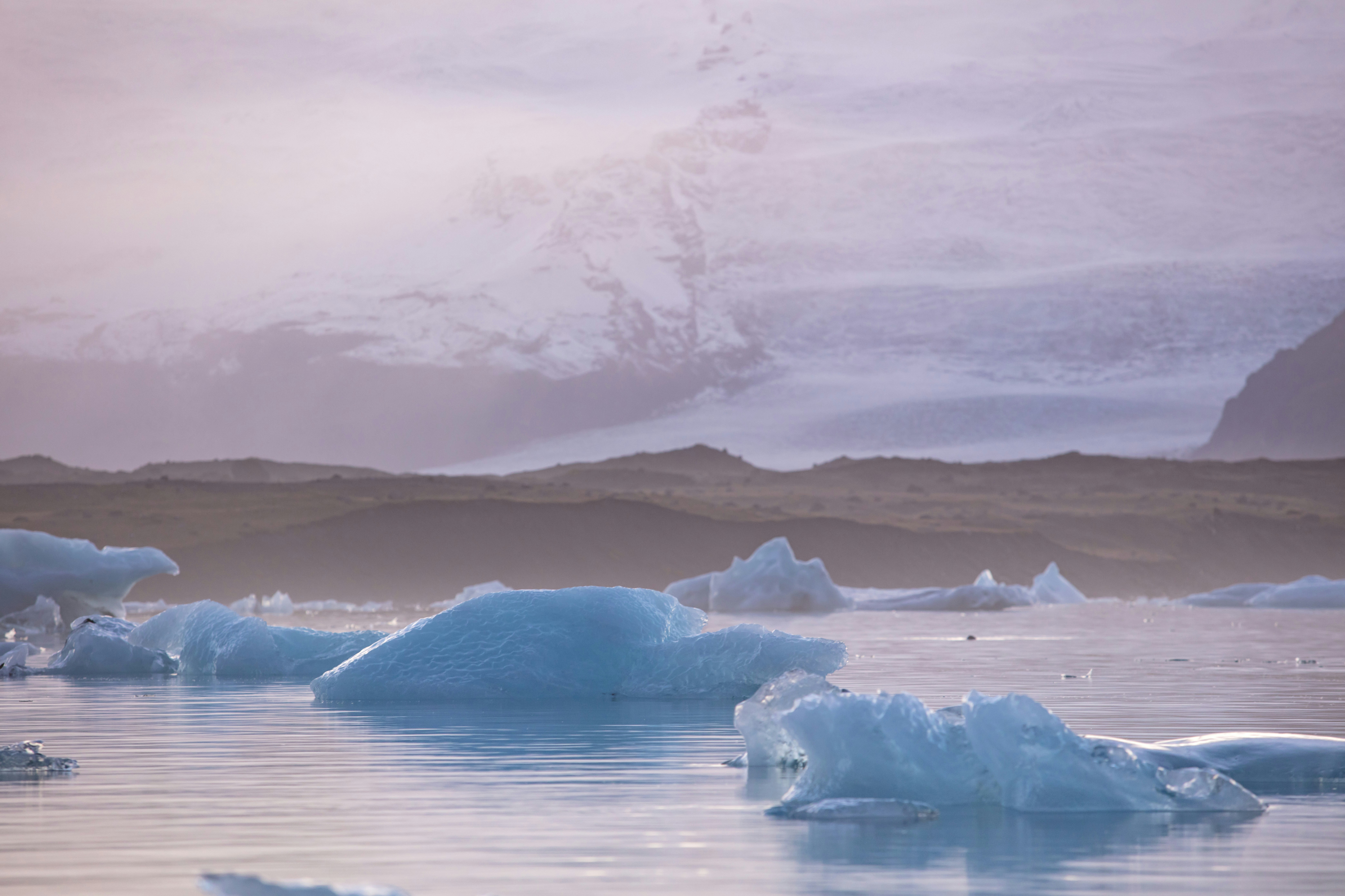 Photo by leo_visions_