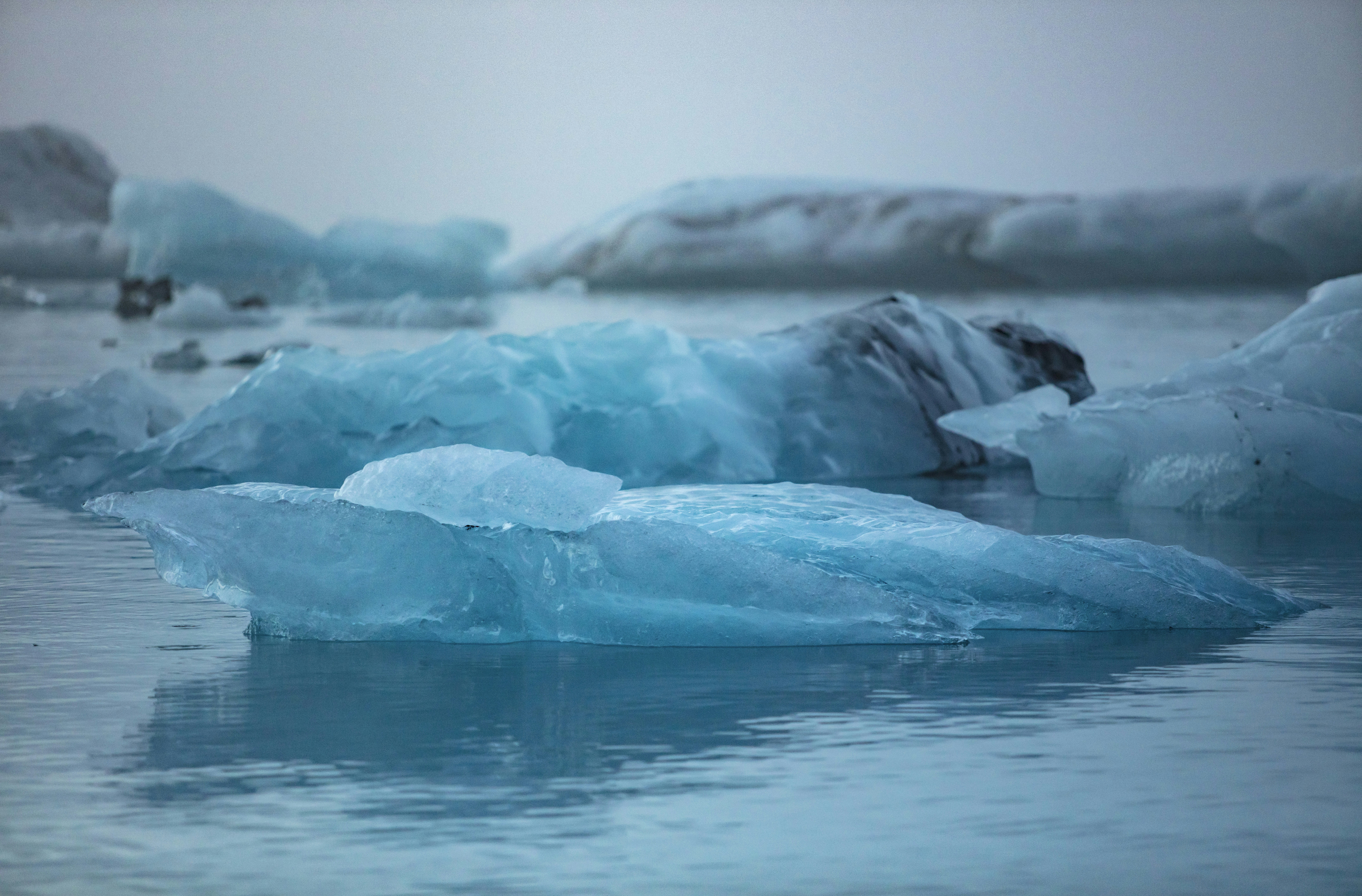 Photo by leo_visions_