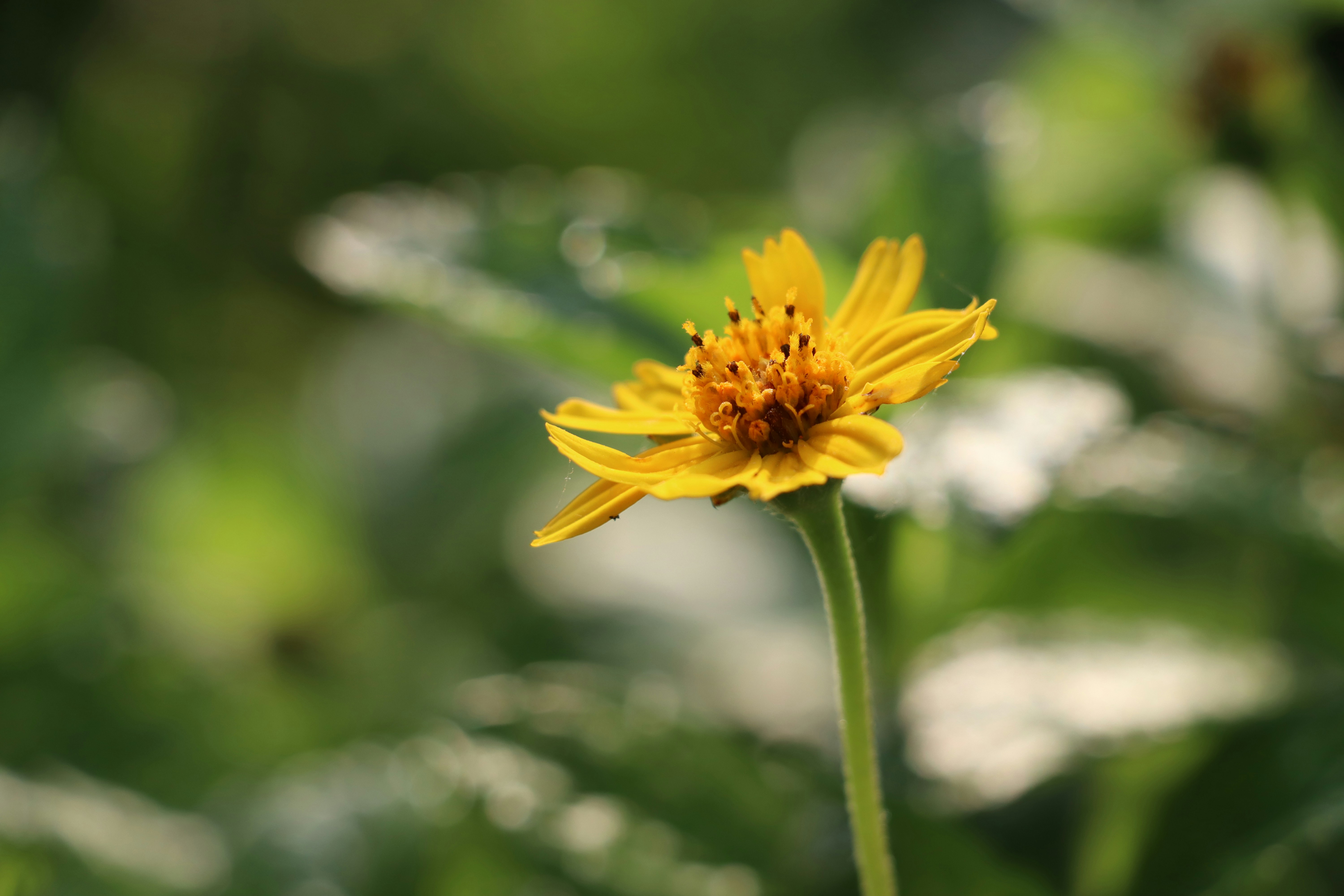 Photo by aditya_sethia_97