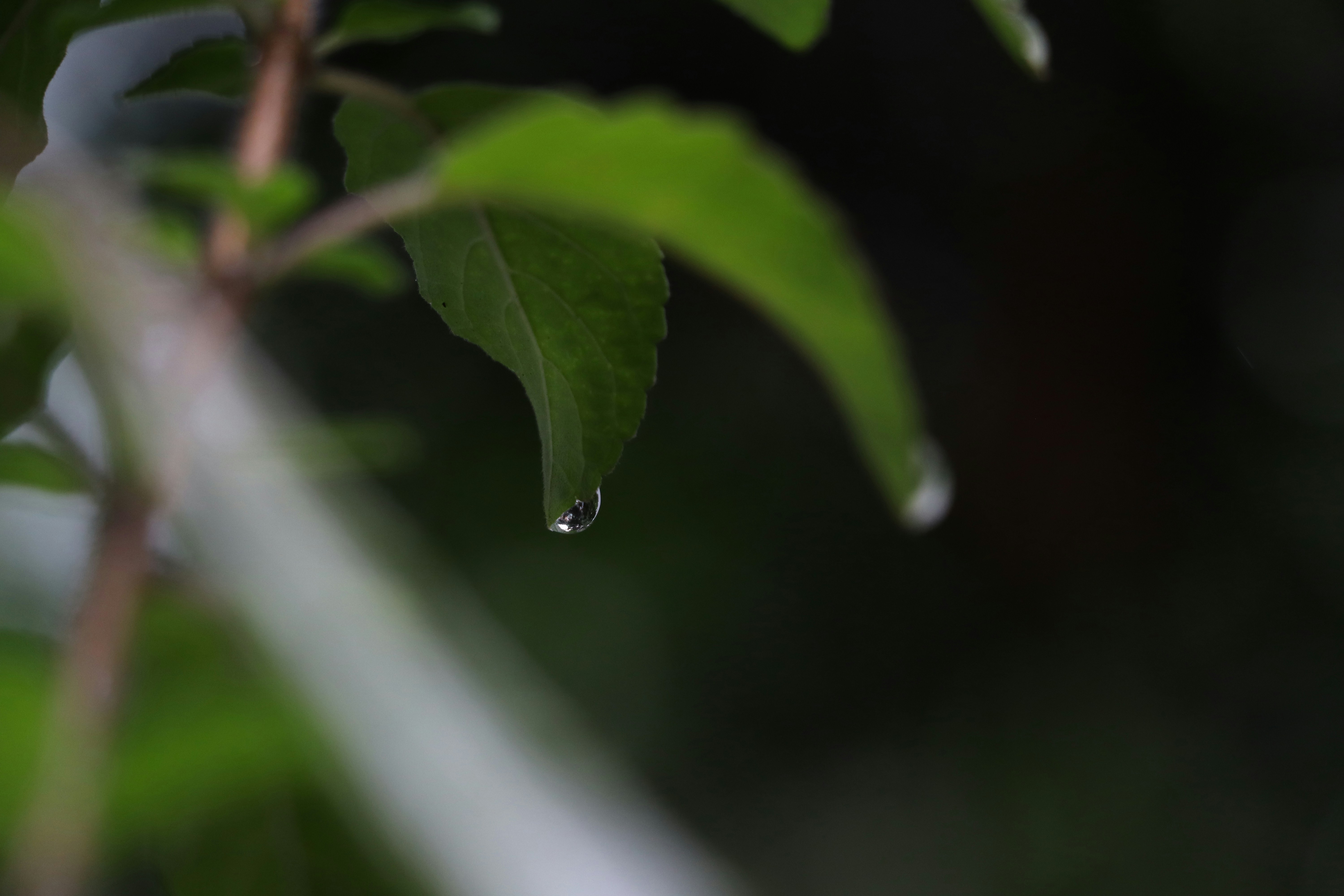 Photo by aditya_sethia_97