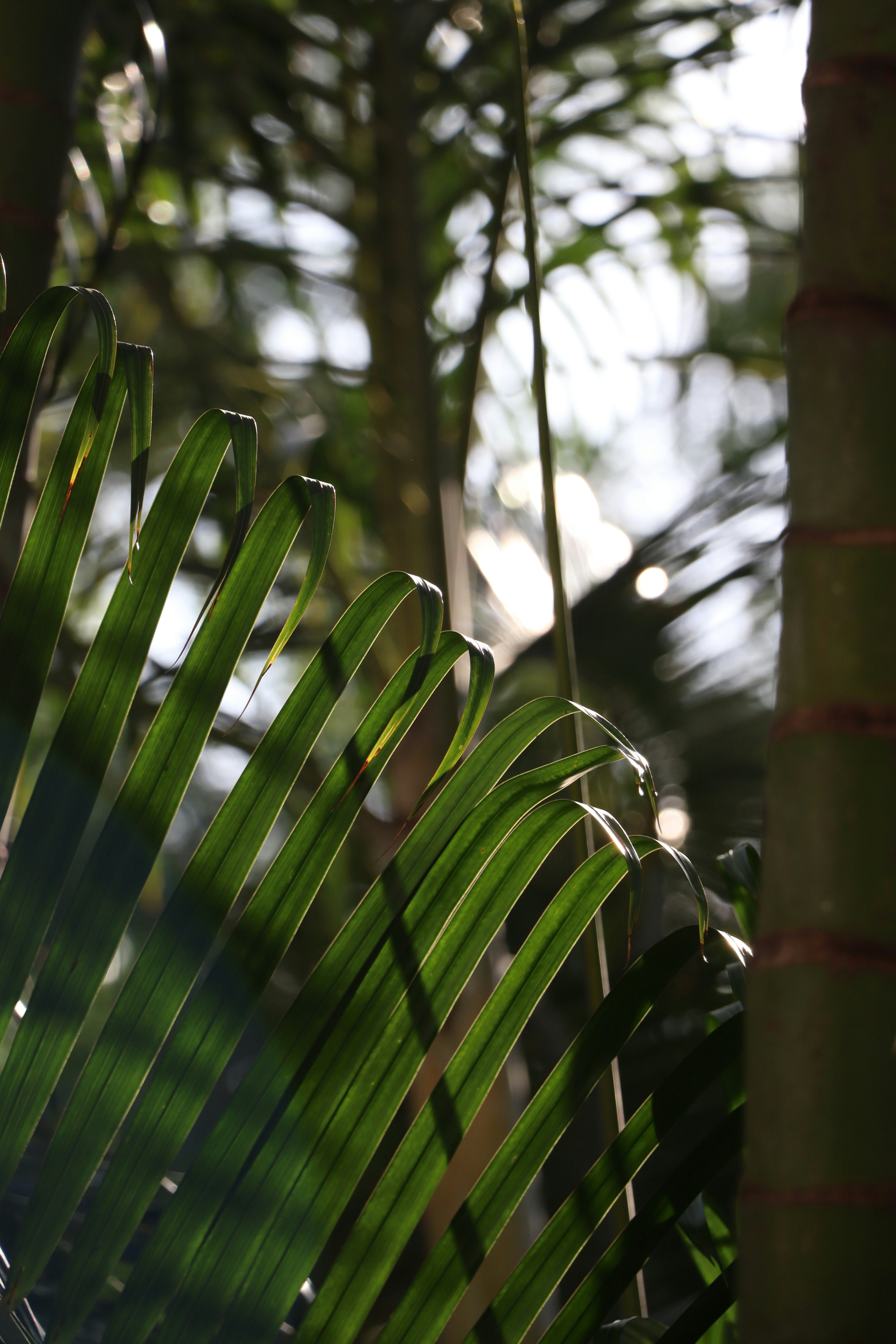 Photo by aditya_sethia_97