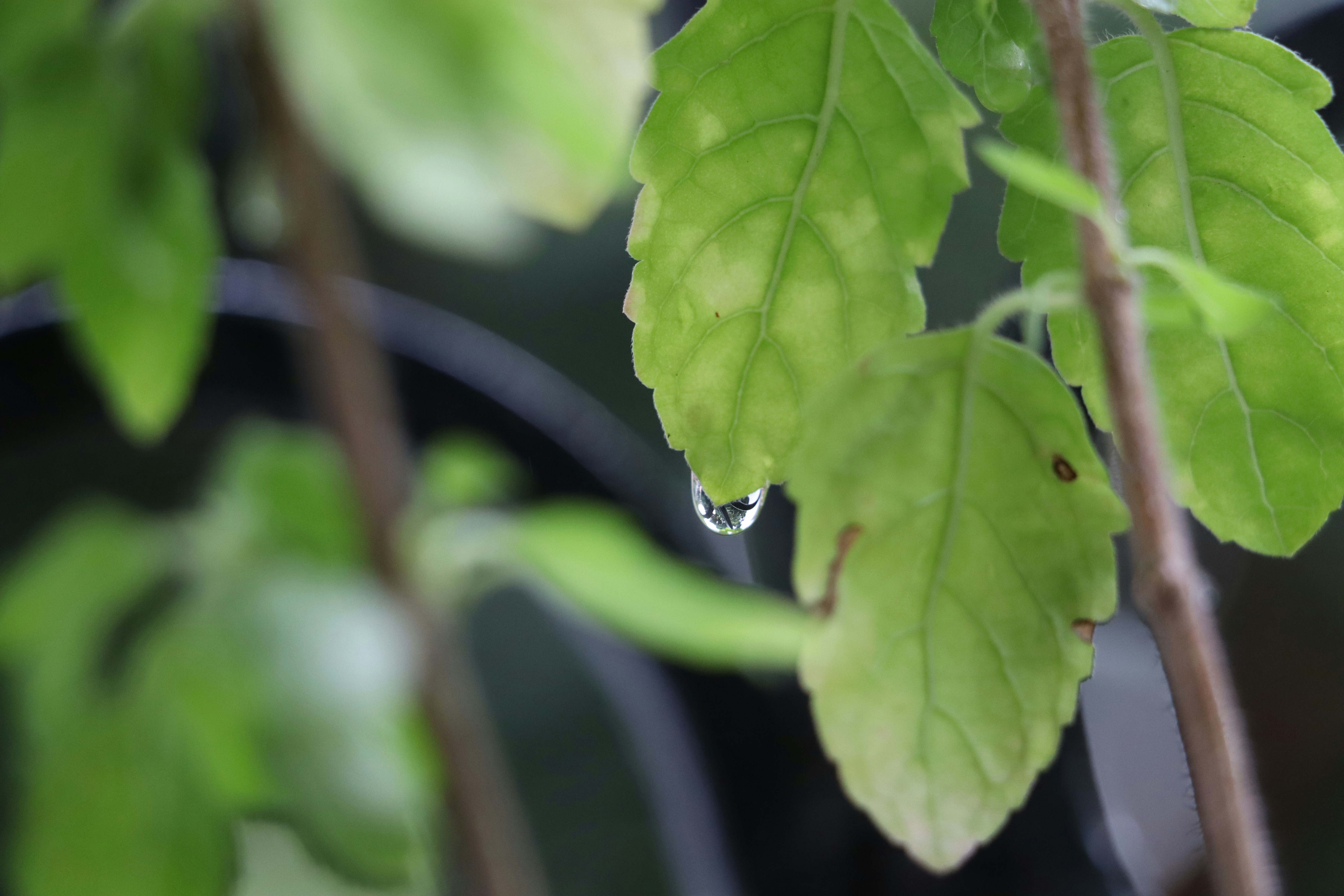 Photo by aditya_sethia_97