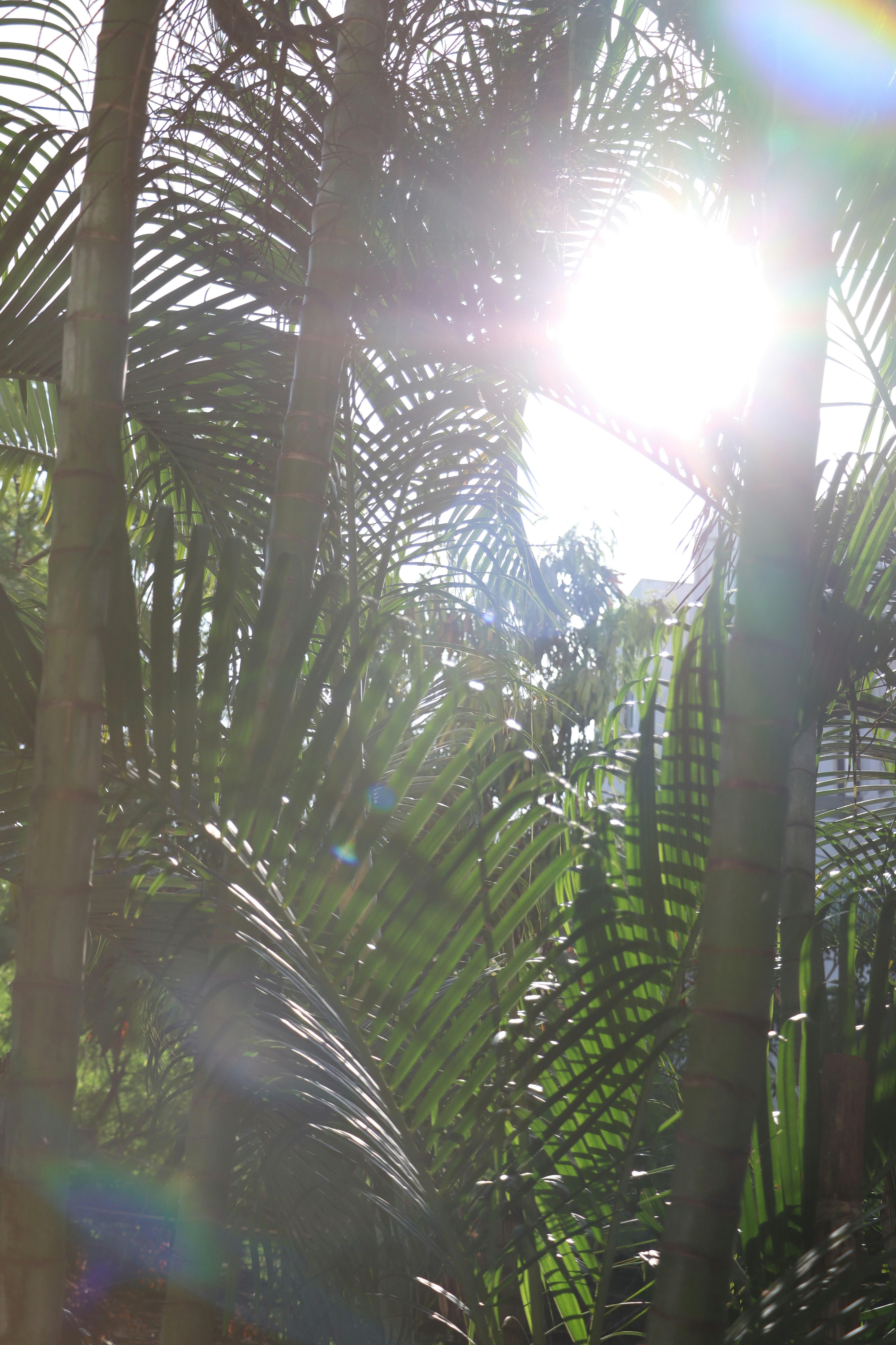 Photo by aditya_sethia_97