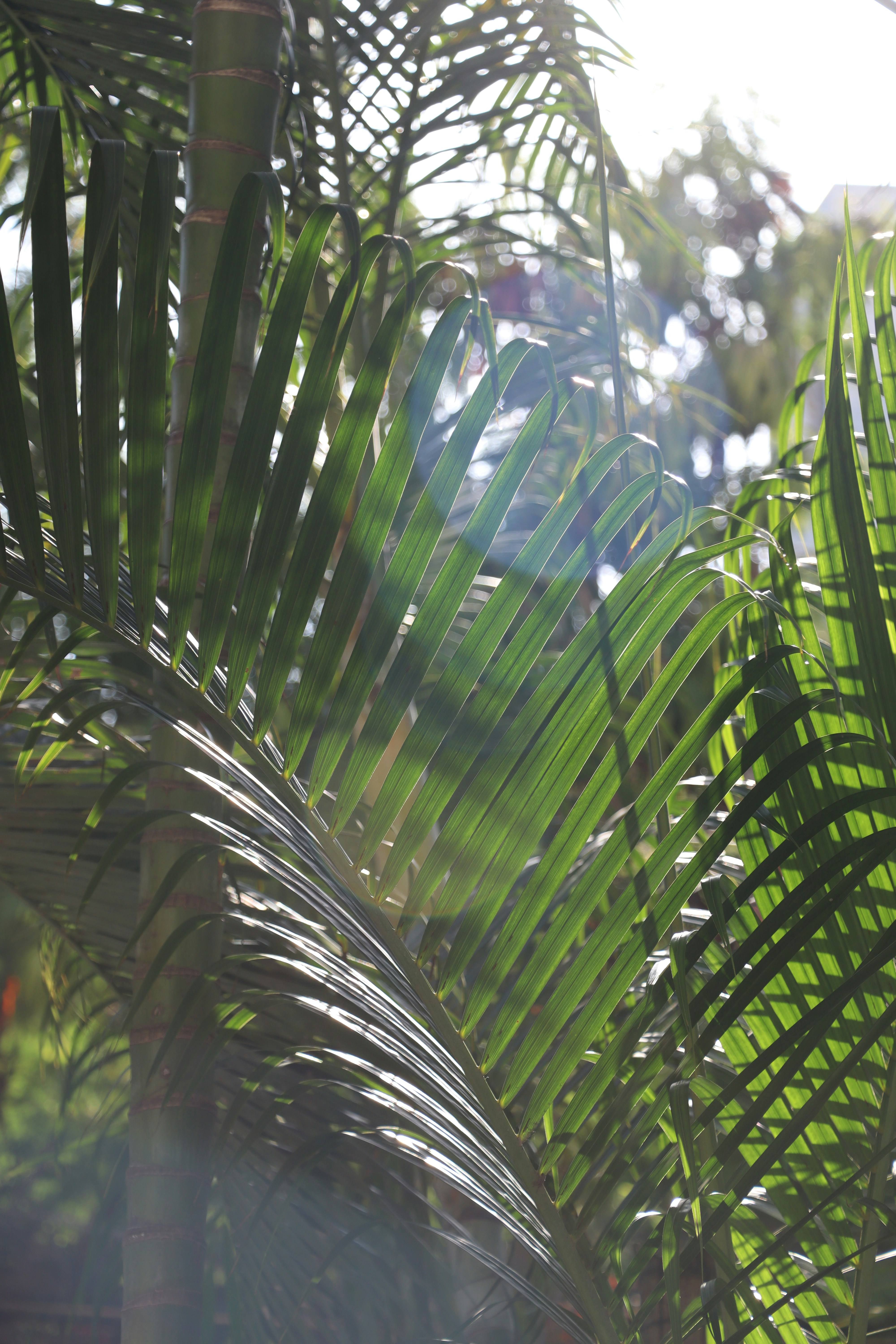 Photo by aditya_sethia_97