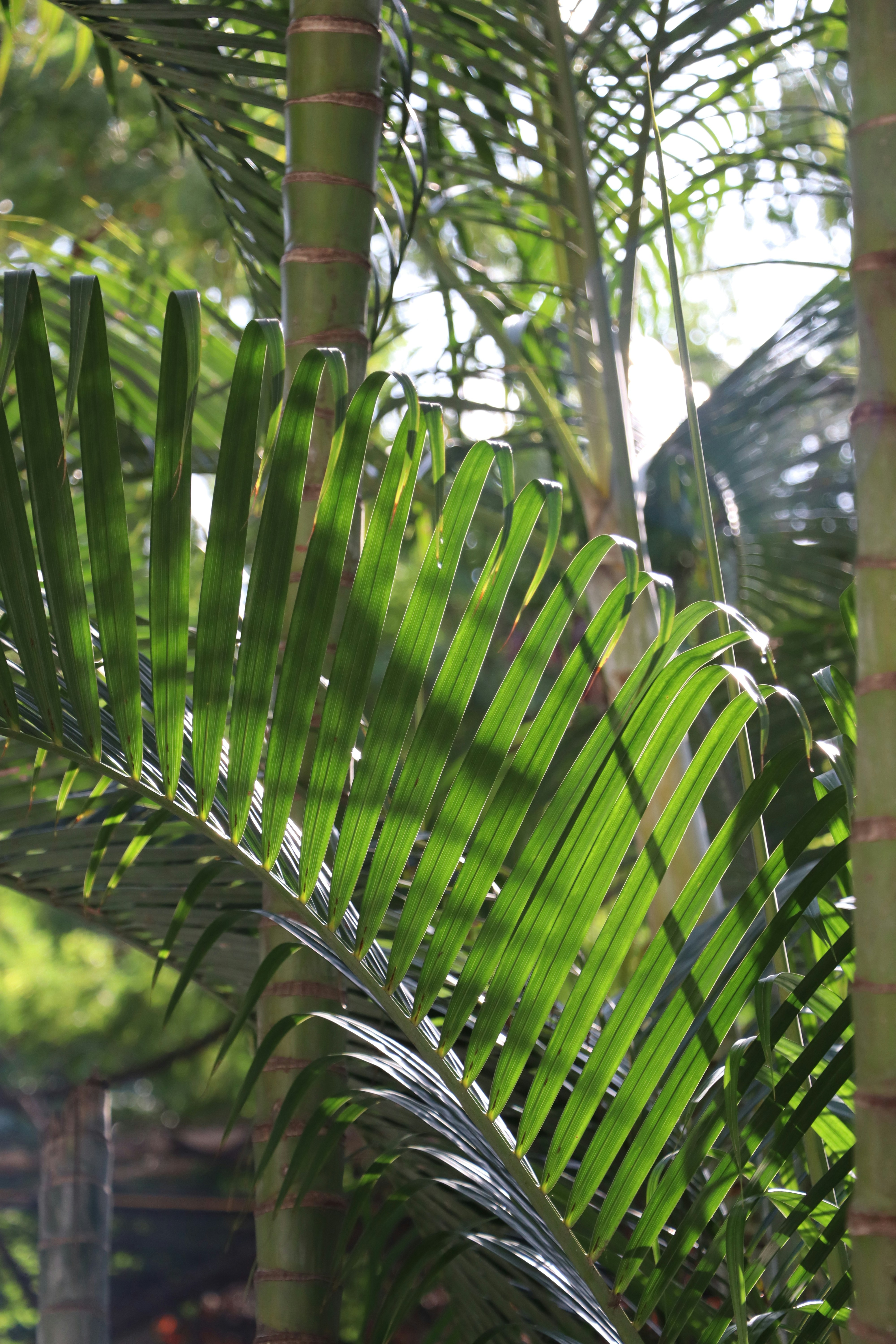 Photo by aditya_sethia_97