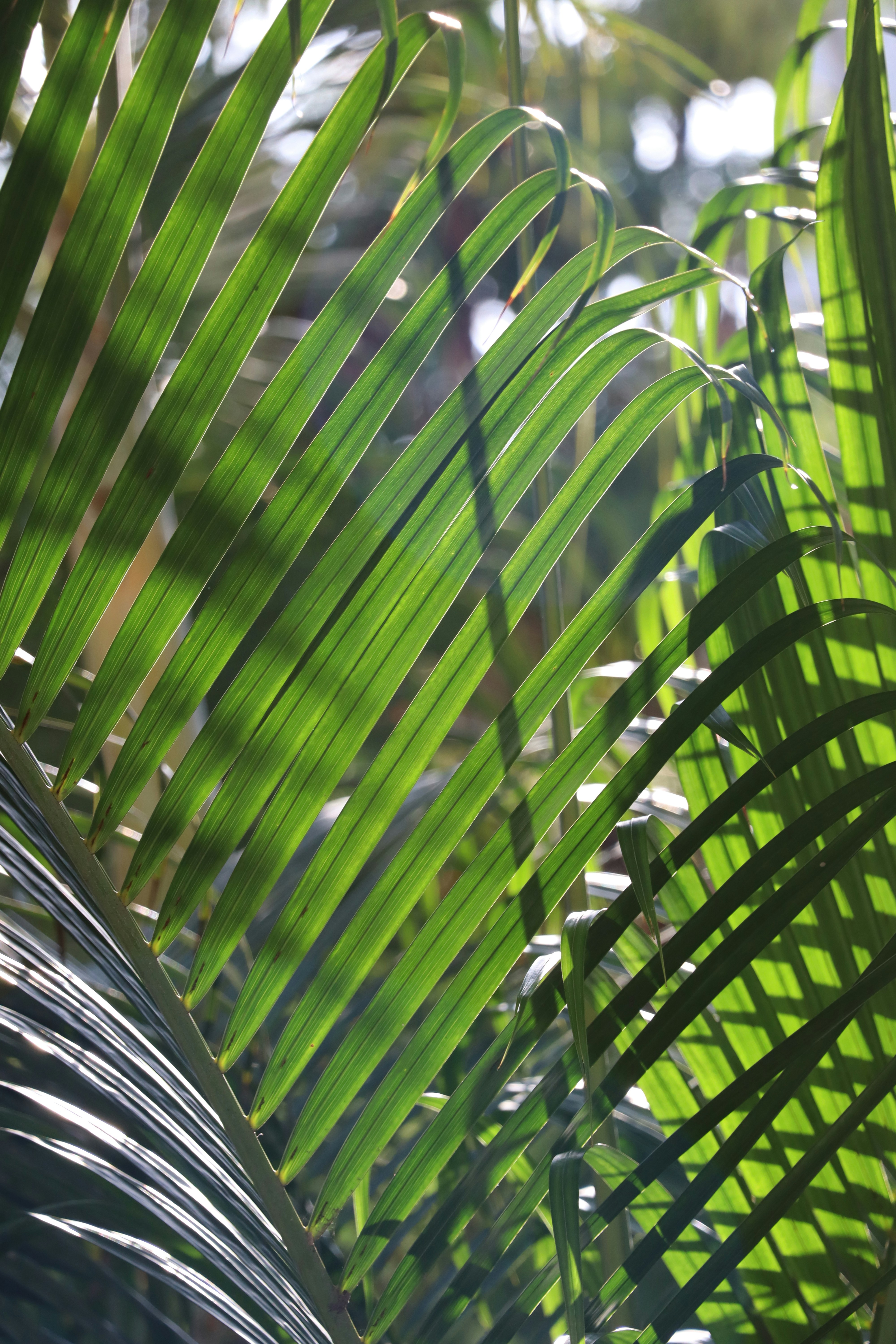 Photo by aditya_sethia_97