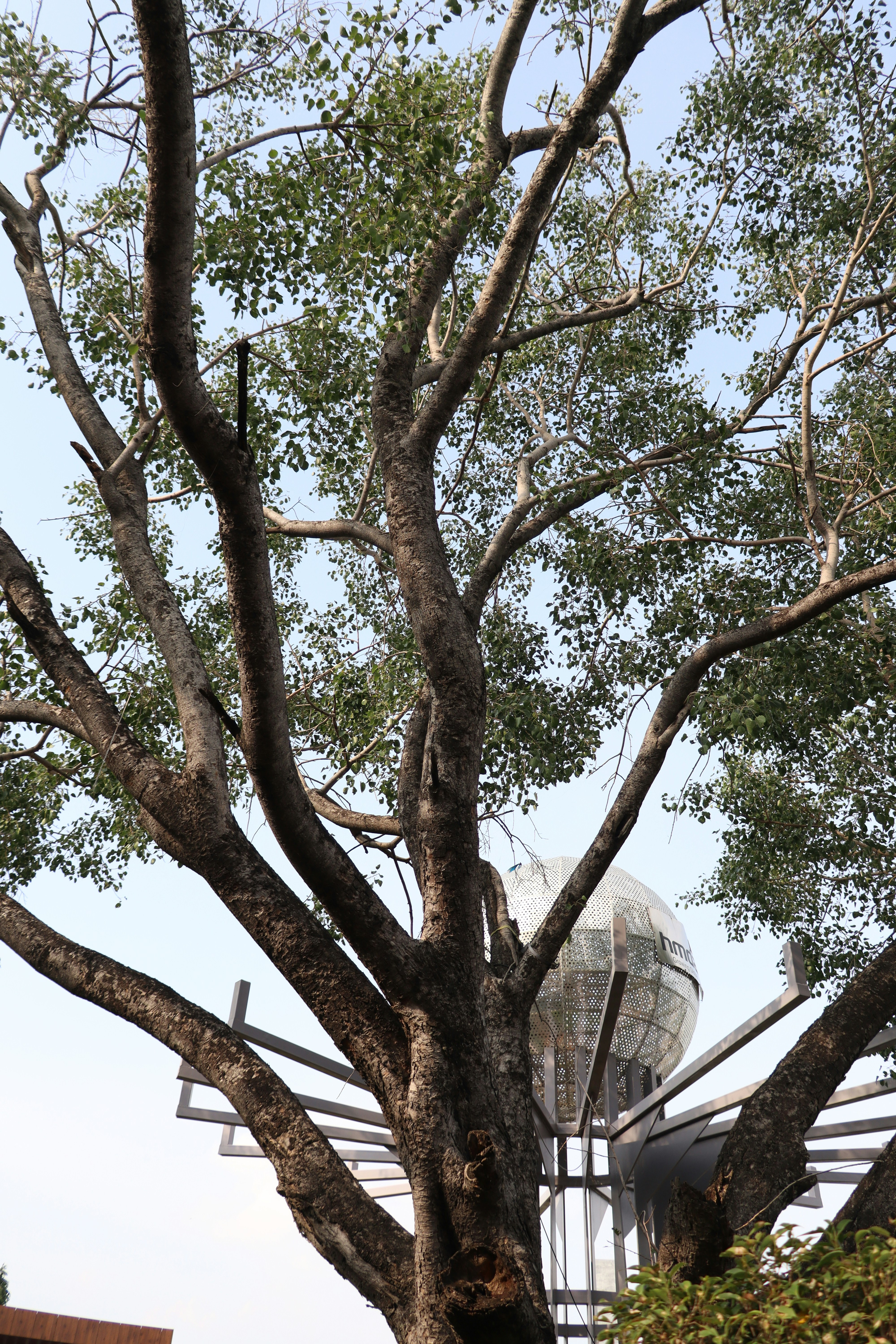 Photo by aditya_sethia_97