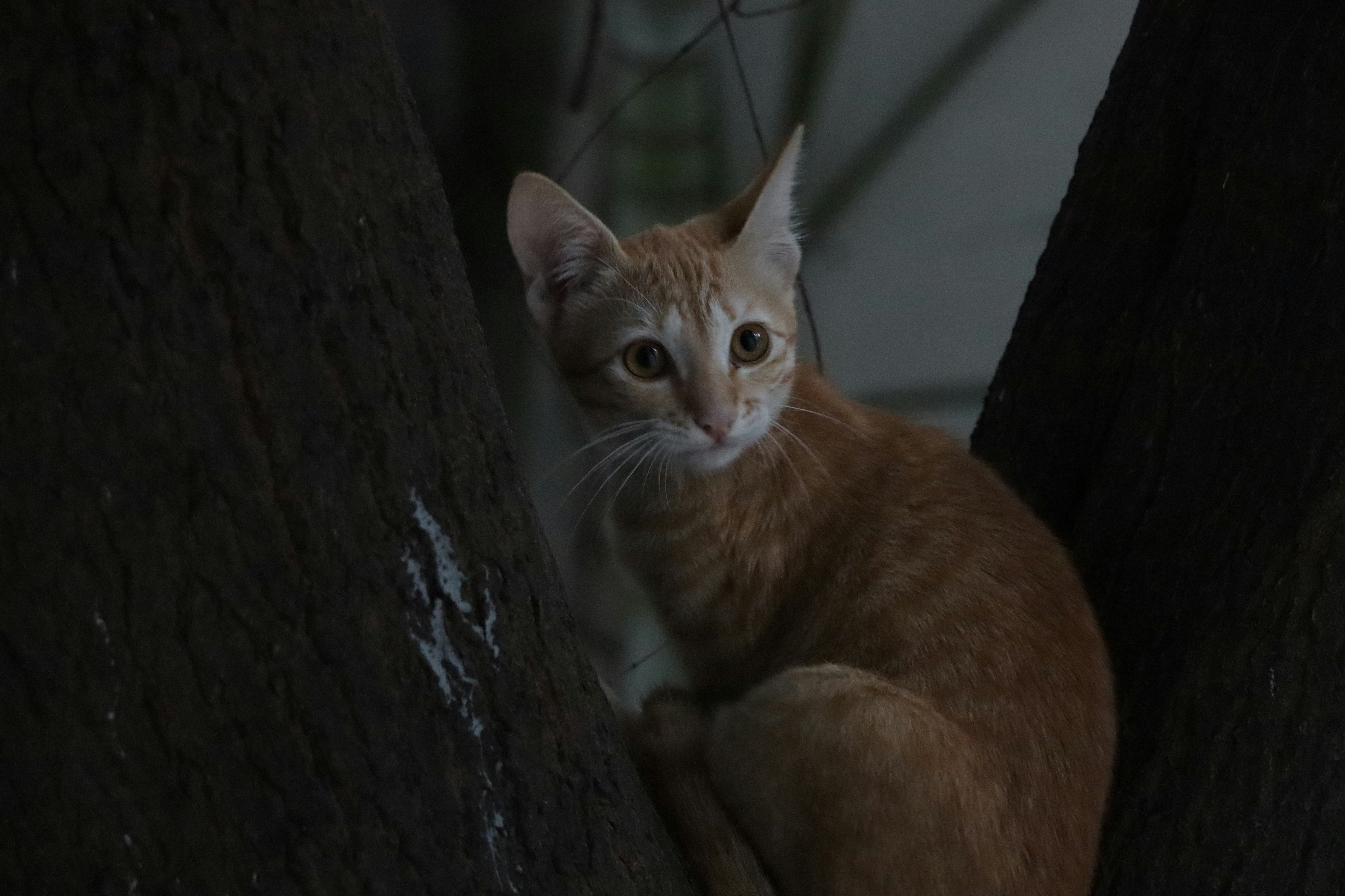 Photo by aditya_sethia_97