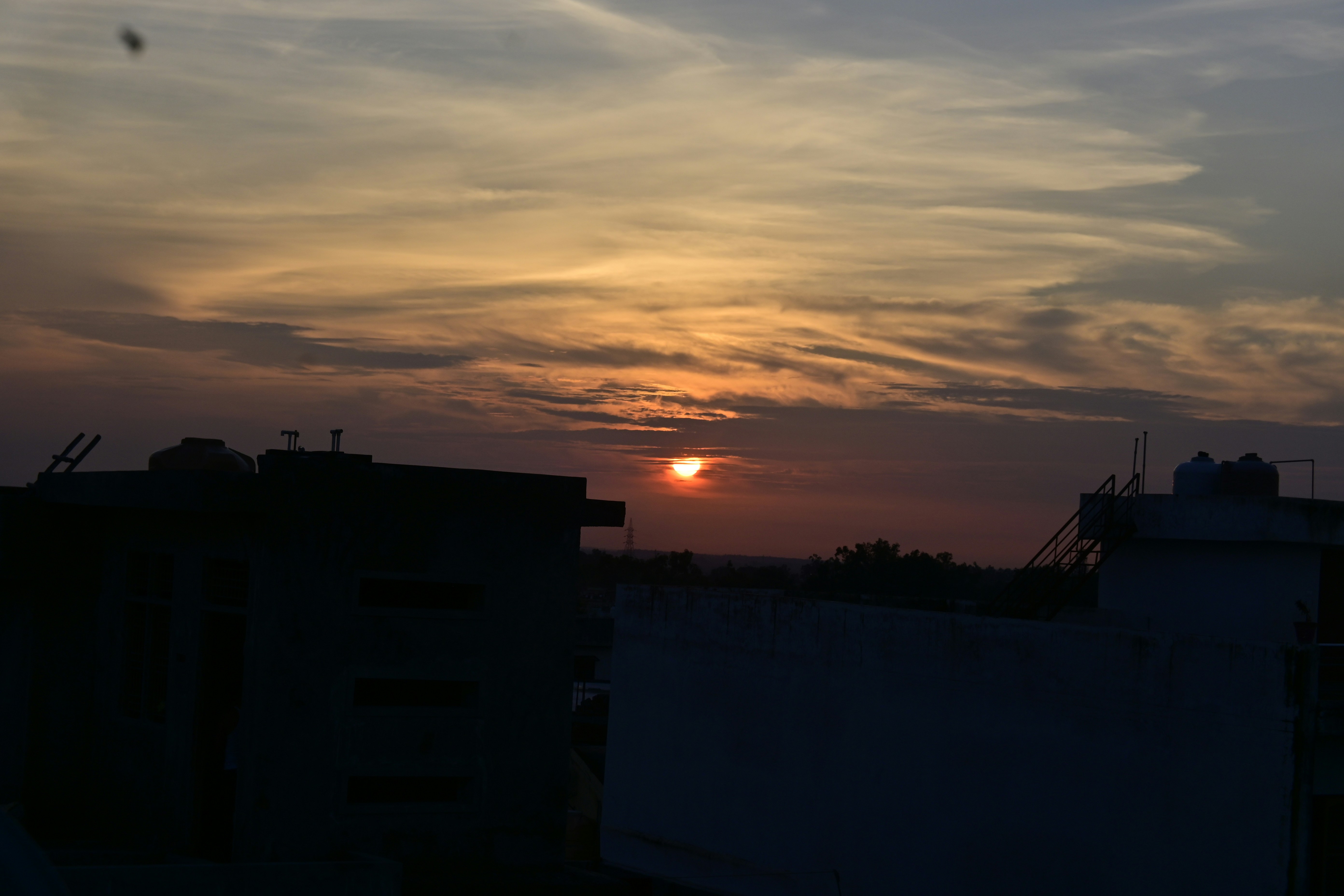 Photo by msgd22897