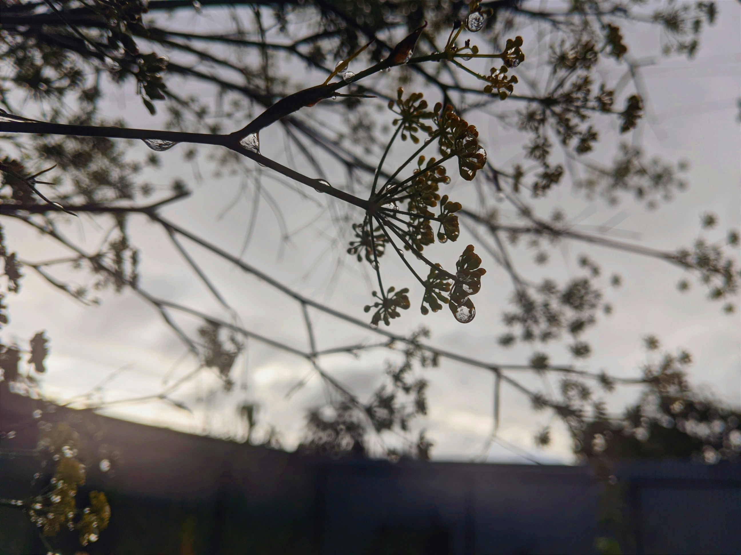 Photo by kazimbhai_photography