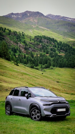 A silver car parked on top of a lush green hillside