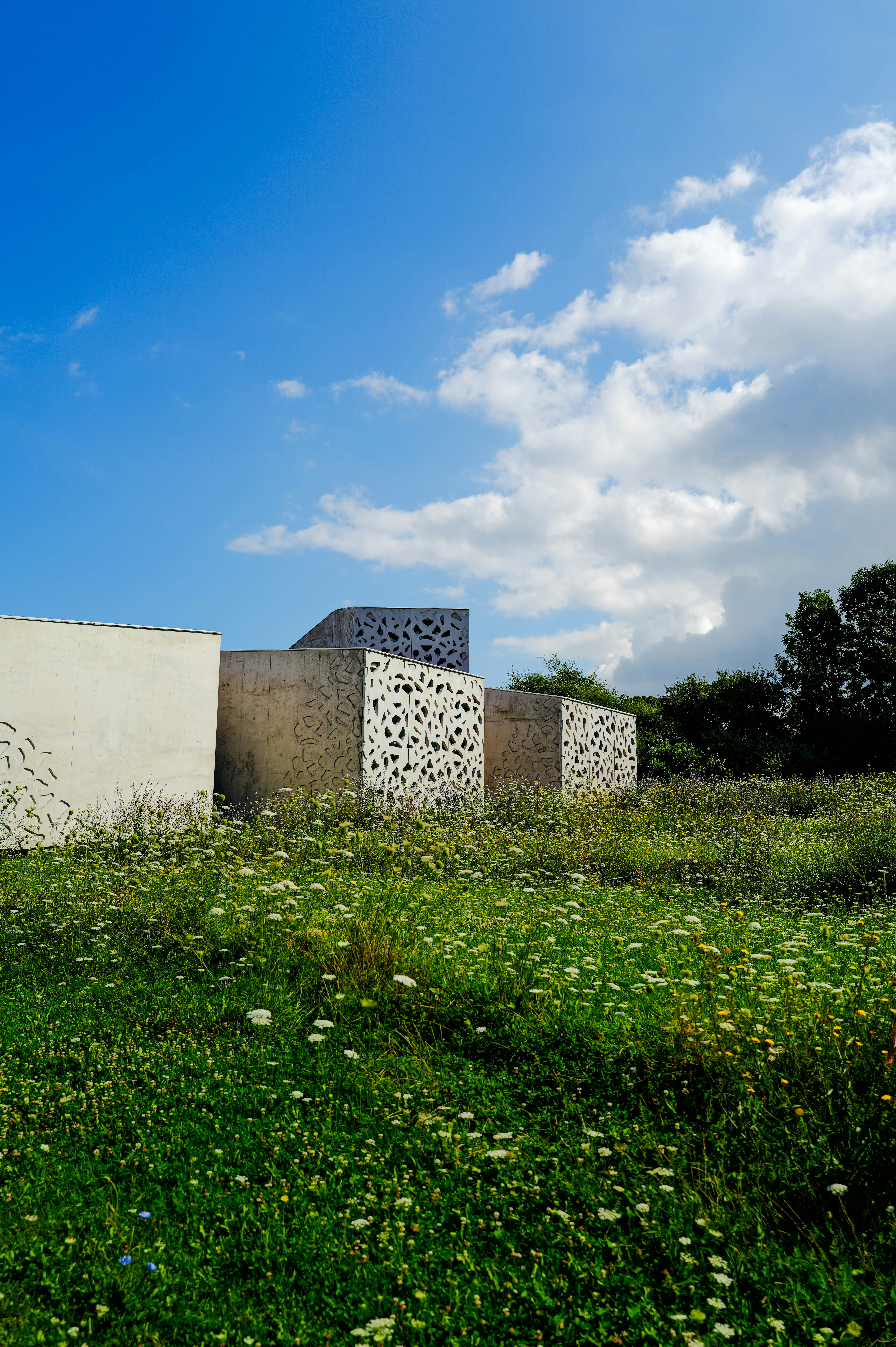 Photo by adrienolichon