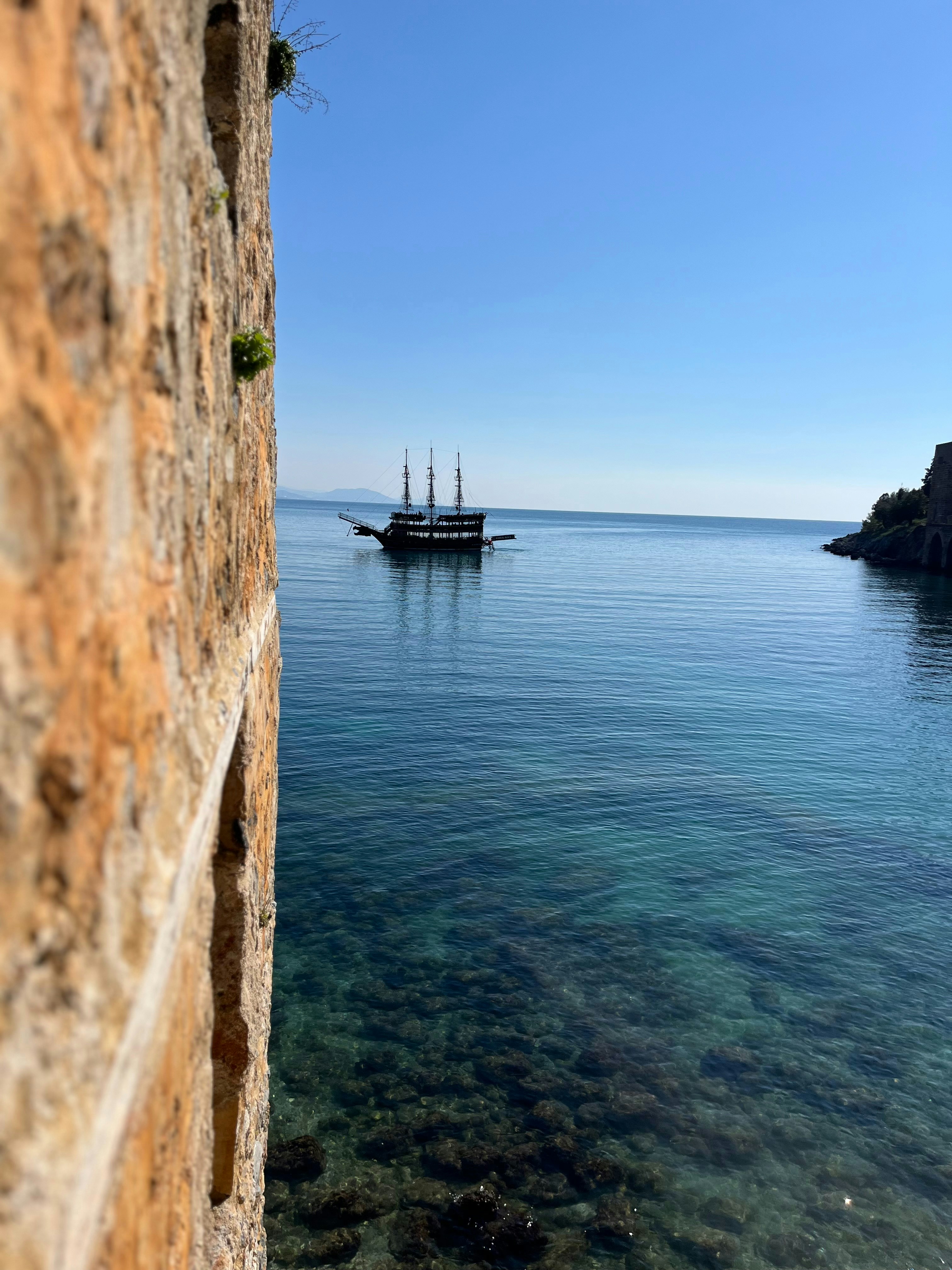 Photo by lllherbokologlll