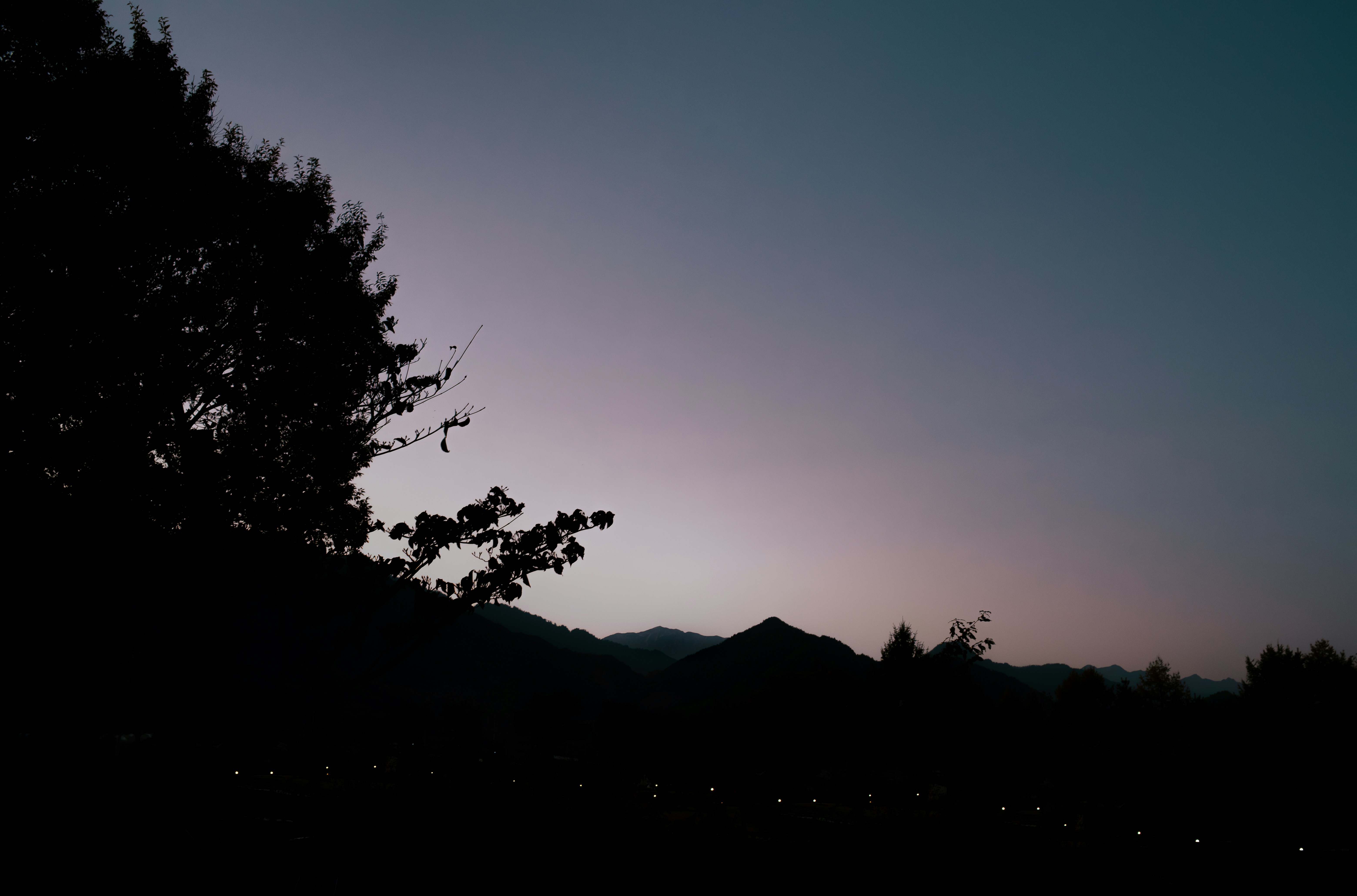 A tree is silhouetted against a purple sky