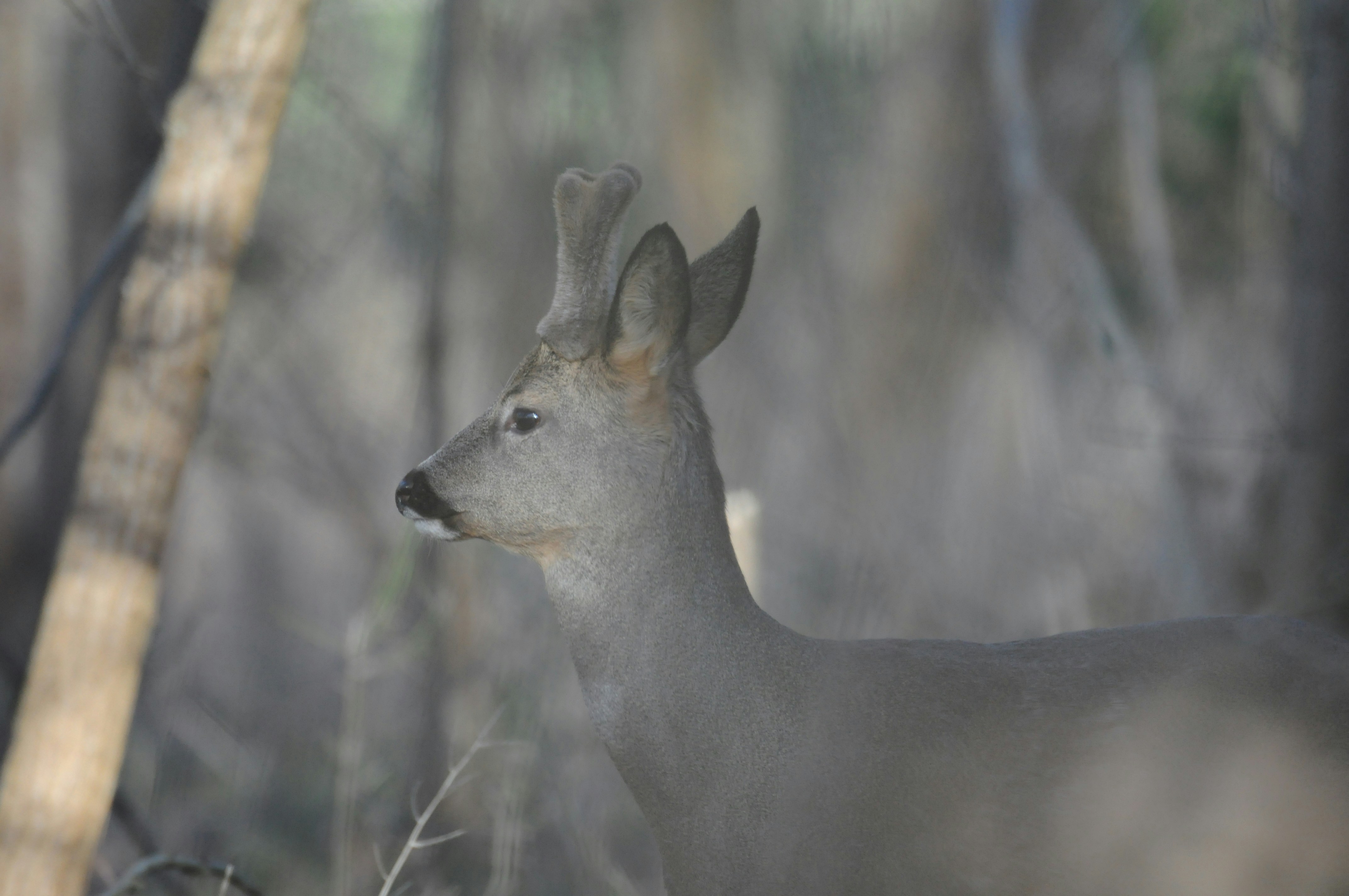 Photo by jeandekindt