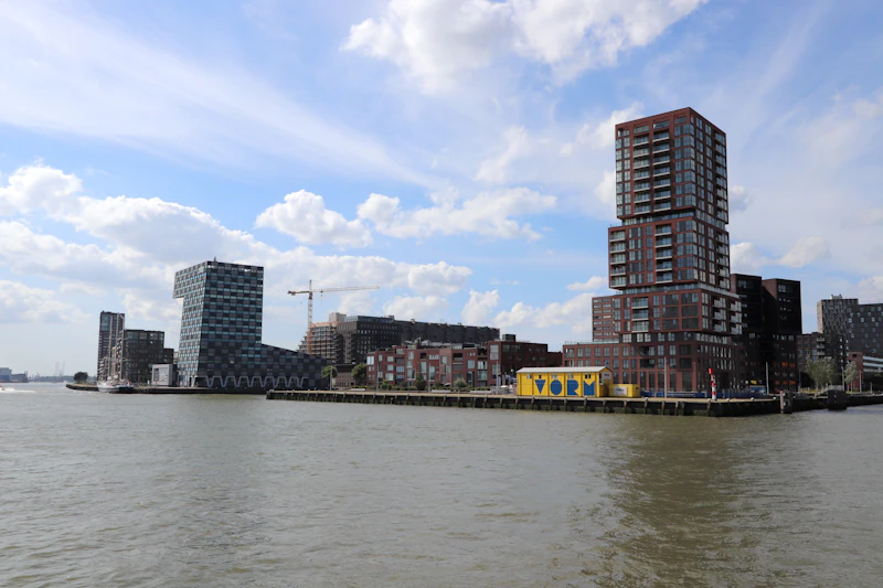 Best Budget Hostels in Rotterdam That Are Actually Worth Staying In