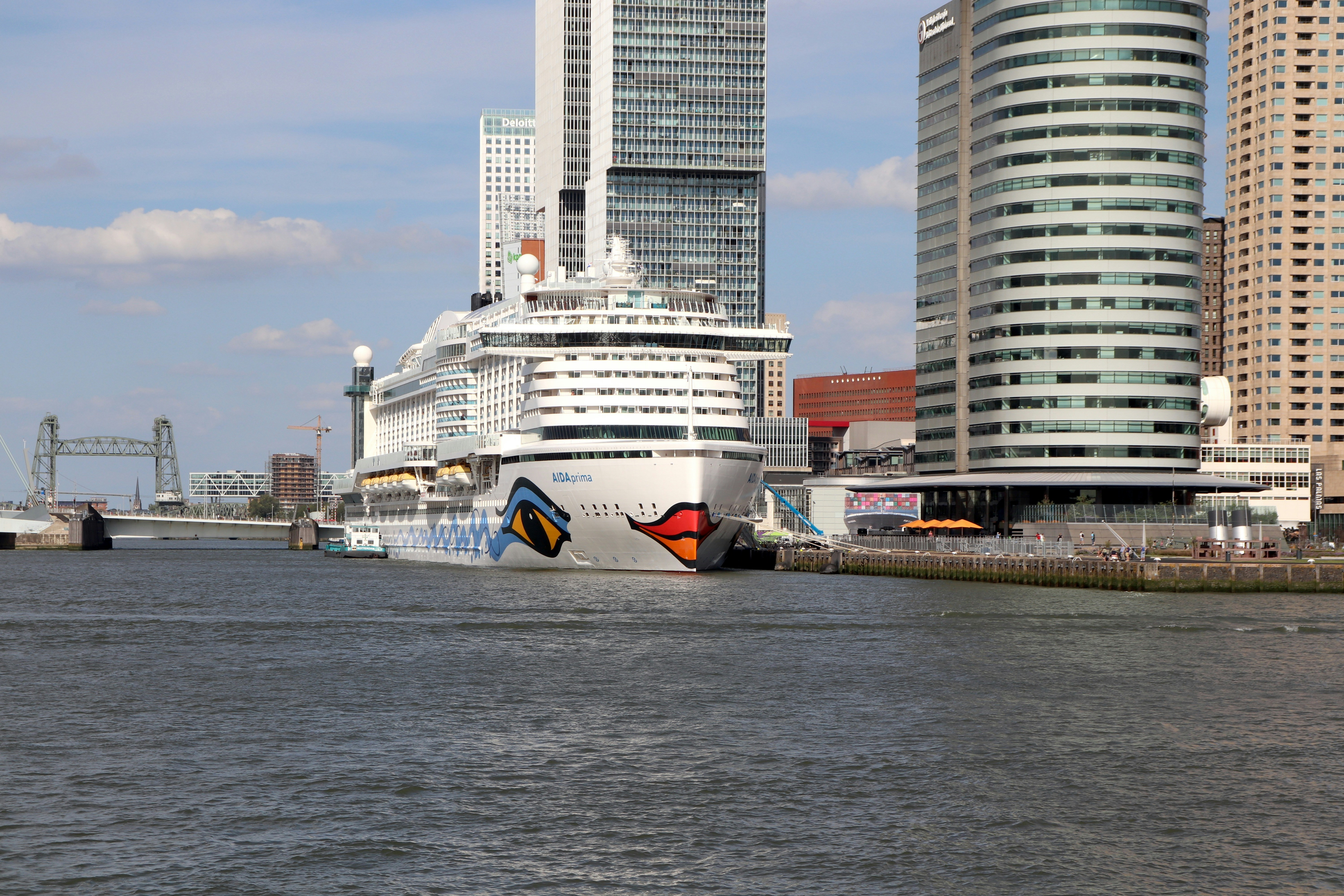 Afbeelding van Rotterdam