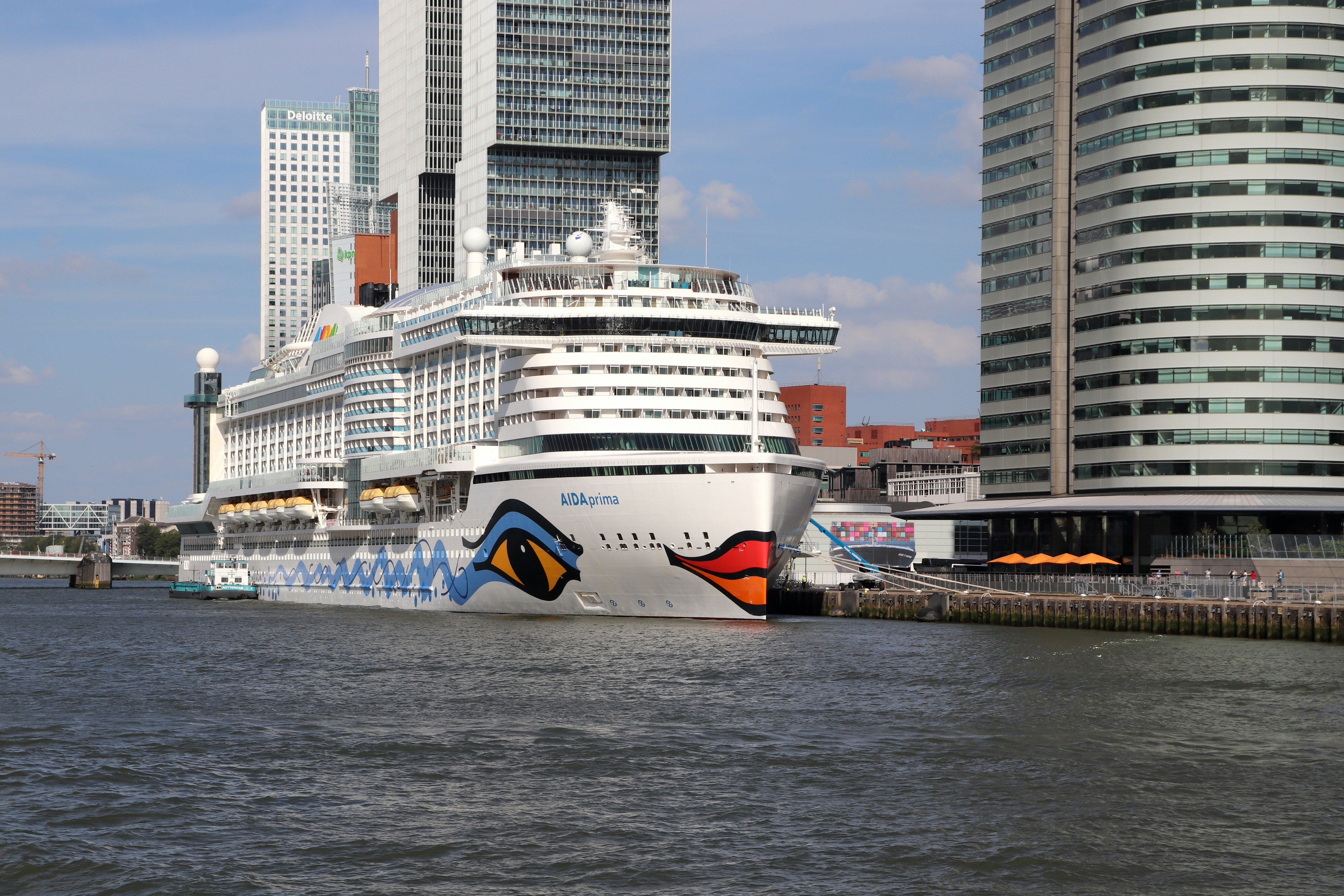 Afbeelding van Rotterdam