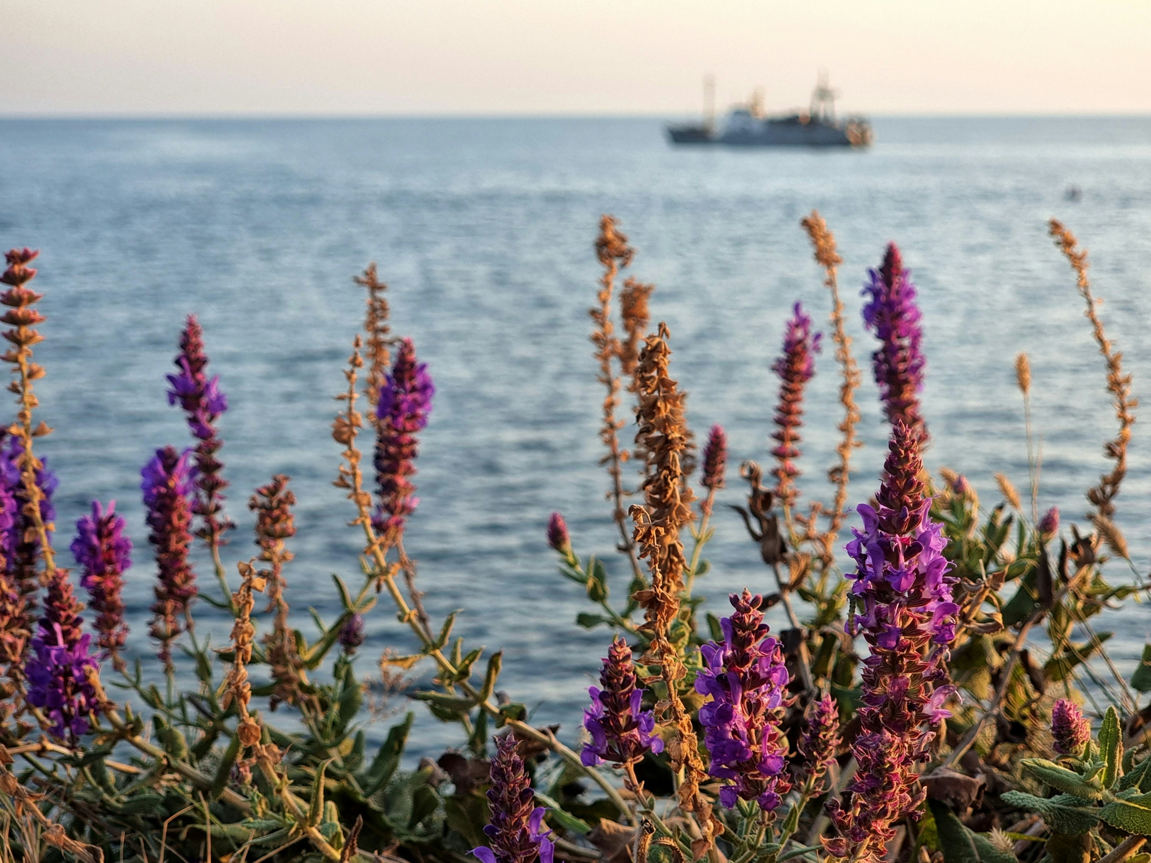 summer colorful wallpaper, wallpaper, Summer Crafts for Adults with Disabilities 2