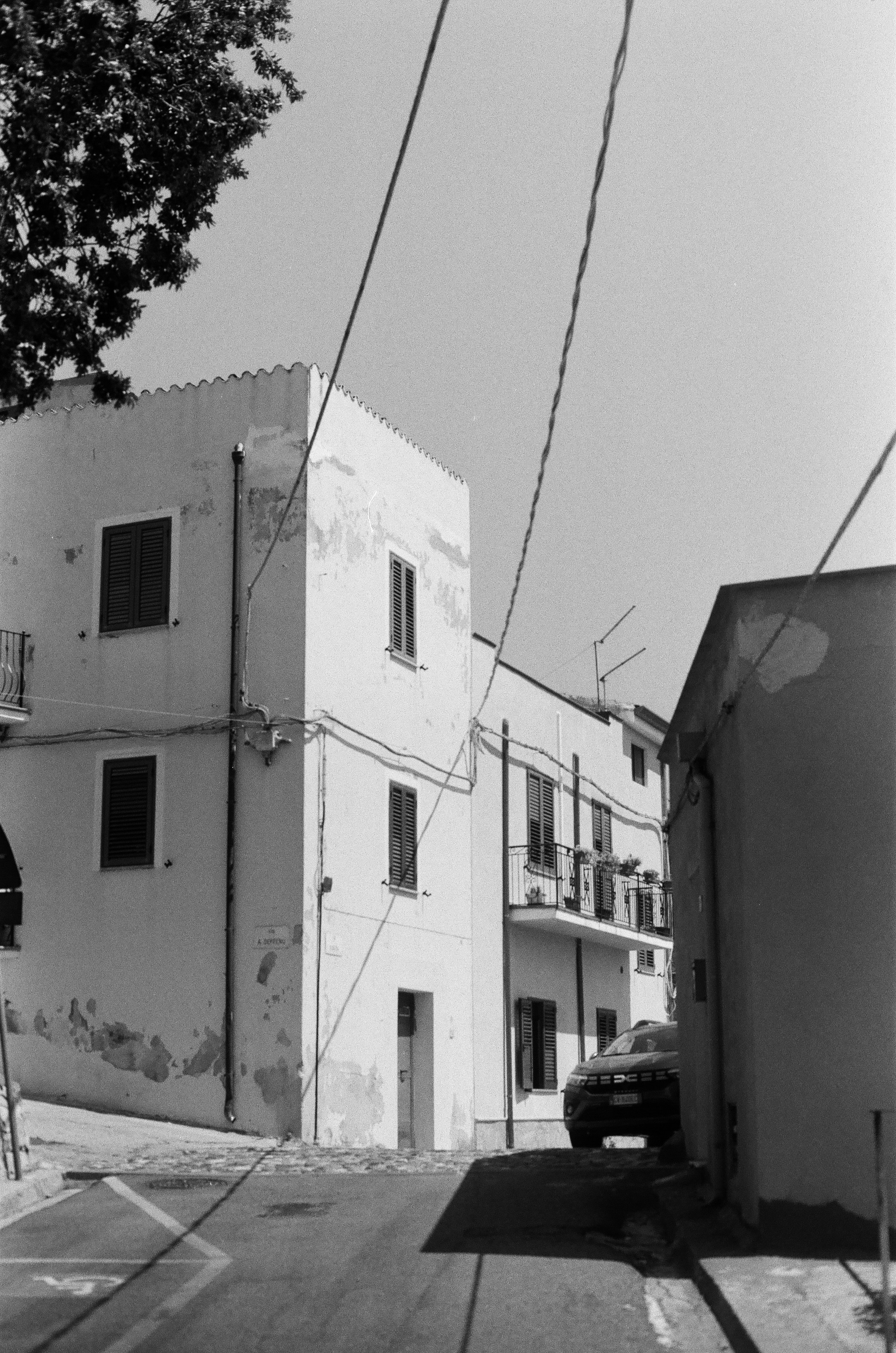 Photo by oscar_scannell