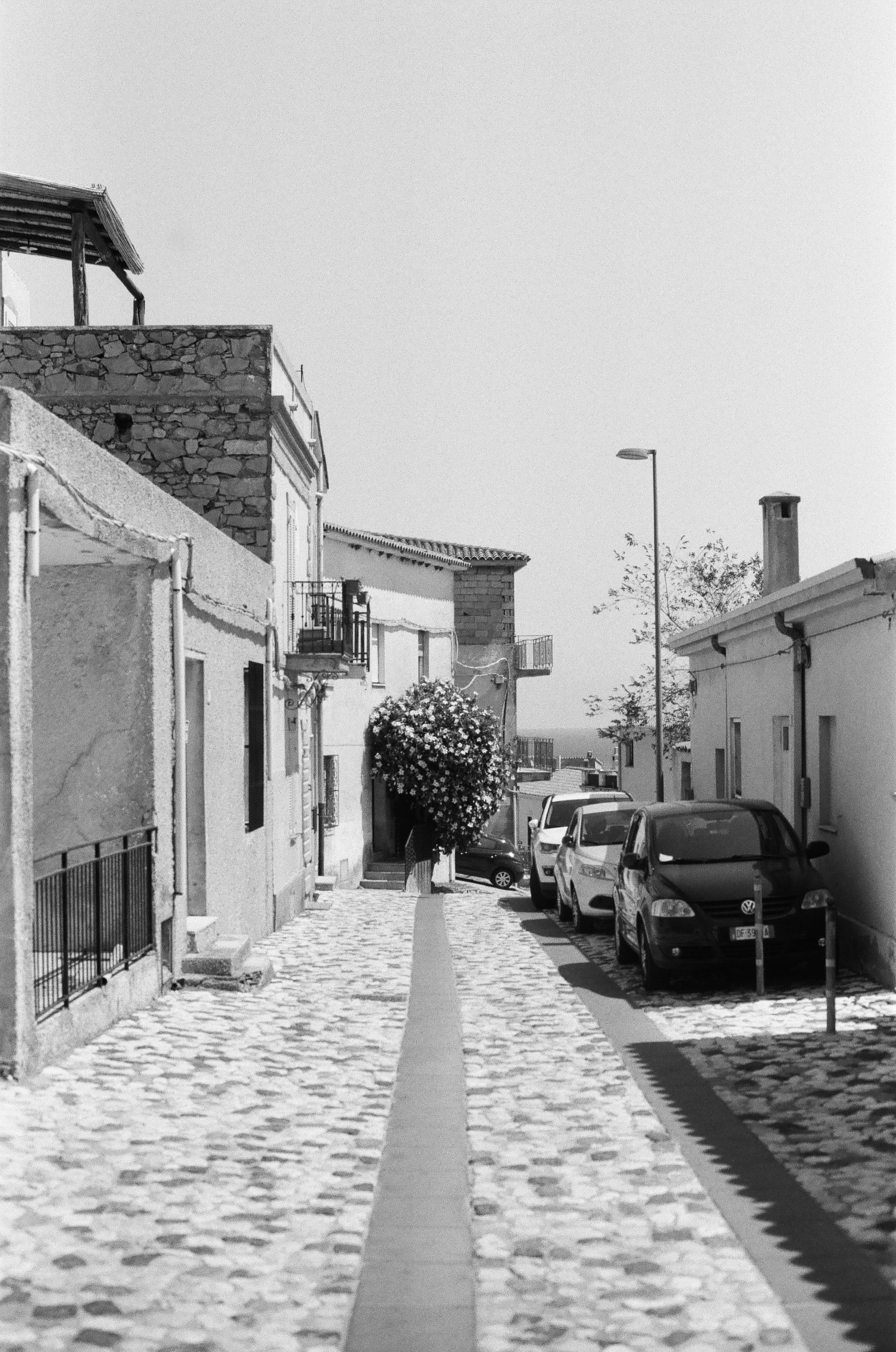 Photo by oscar_scannell